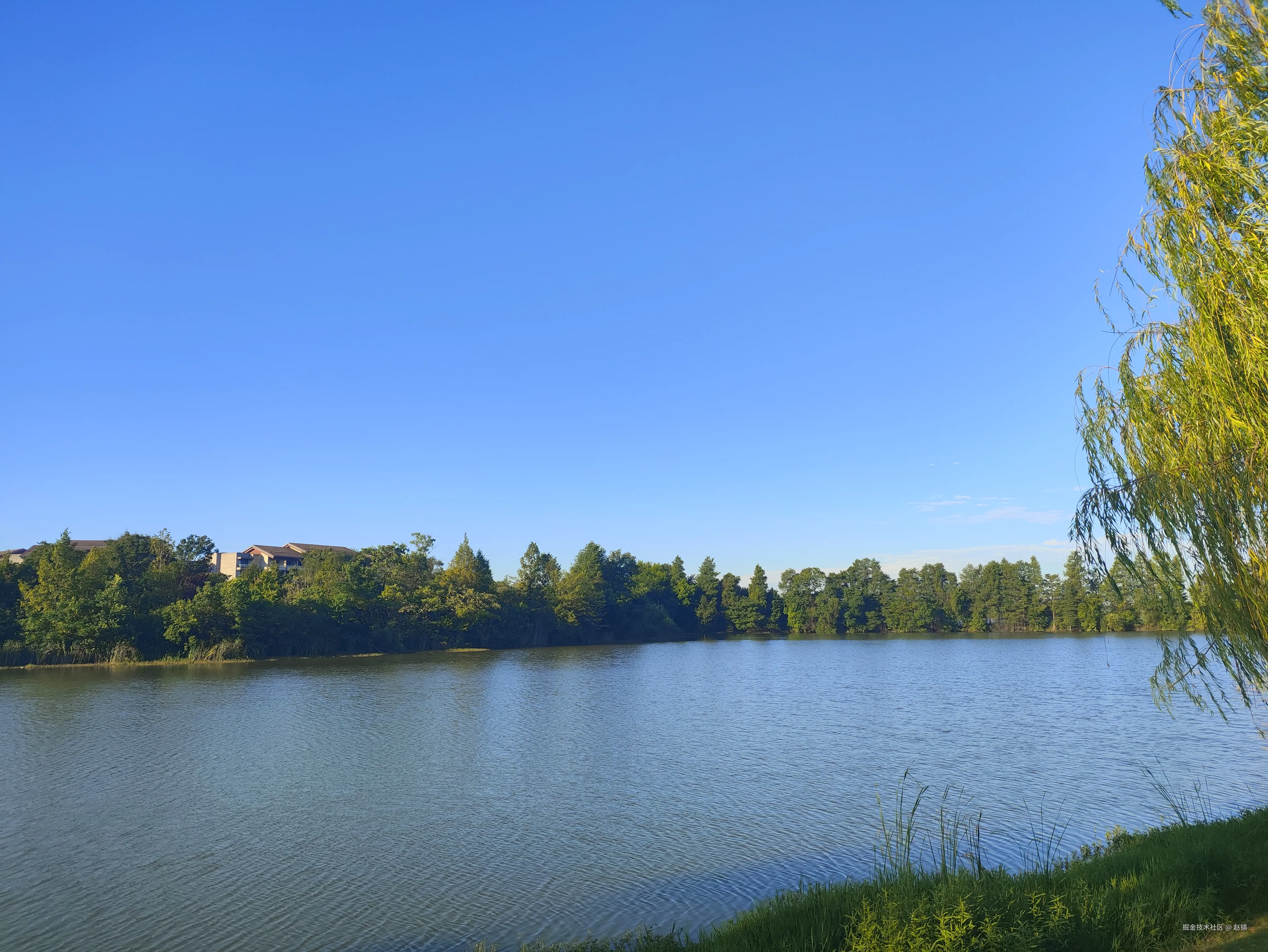 赵镇于2024-07-29 10:40发布的图片