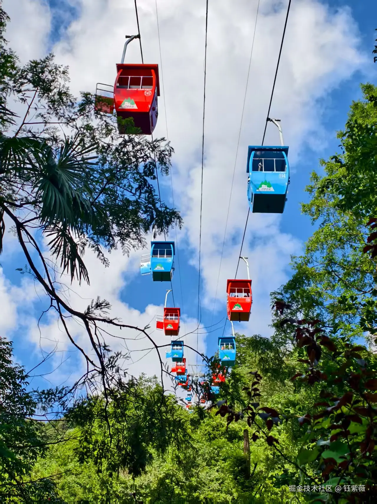 钰紫薇于2025-07-28 09:17发布的图片