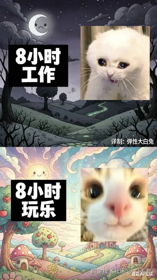 白手套于2026-01-26 09:12发布的图片