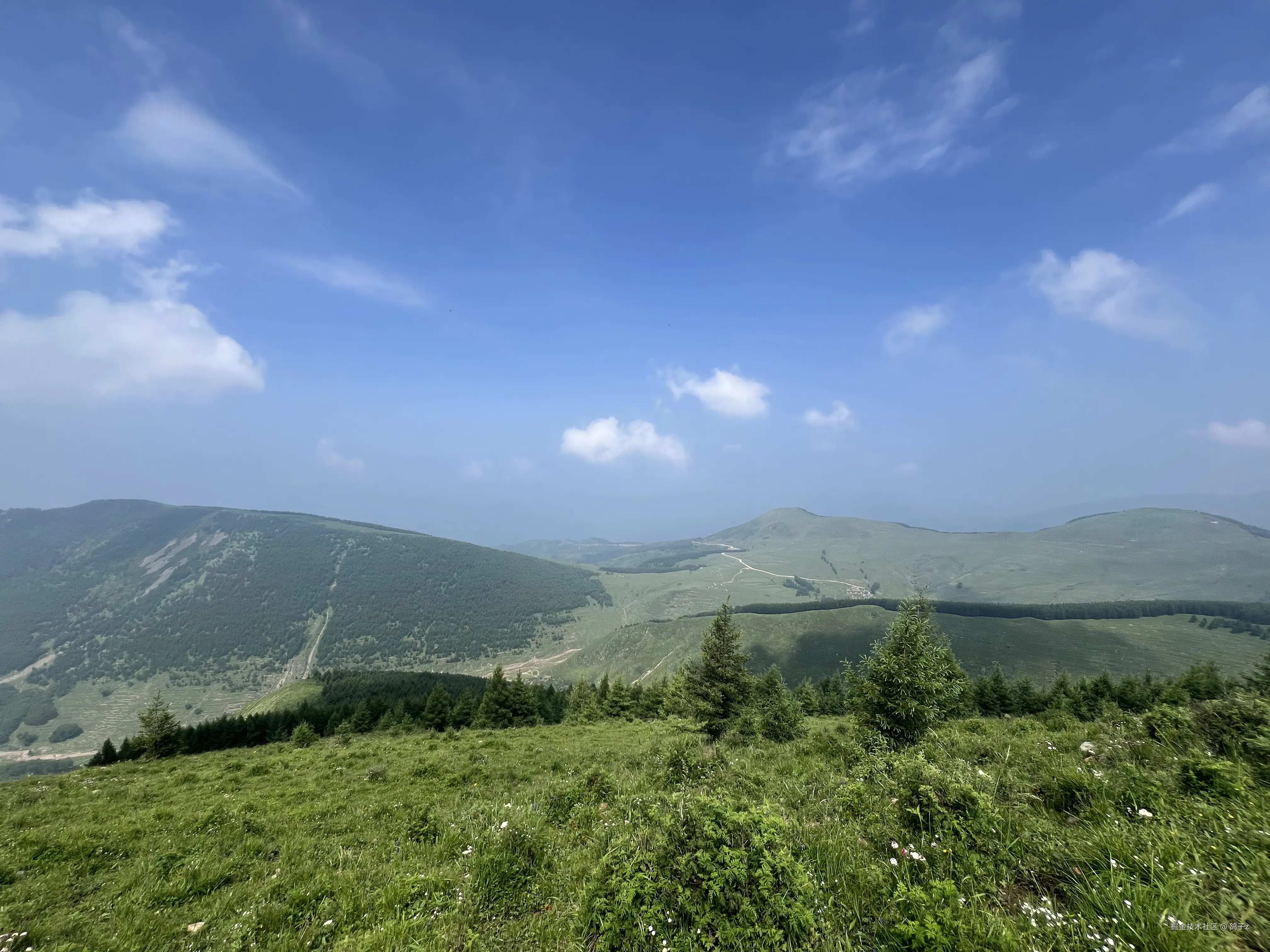 鸽子z于2025-07-14 14:20发布的图片