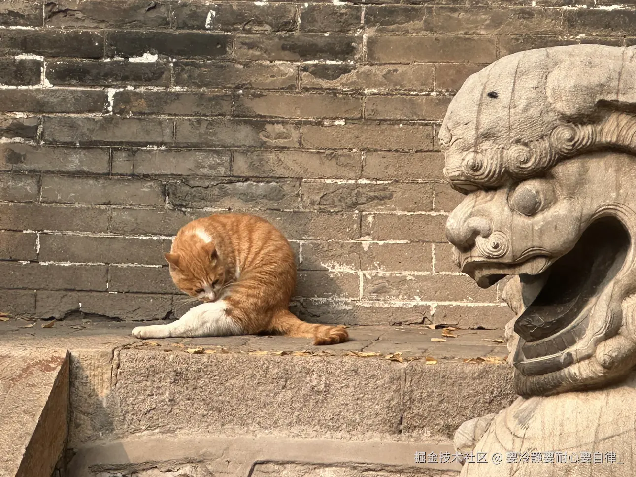 要冷静要耐心要自律_于2025-03-12 16:46发布的图片