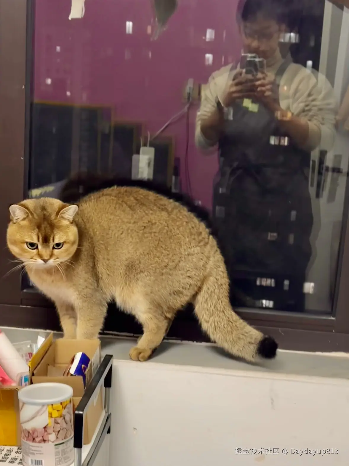 Daydayup813于2024-12-25 13:12发布的图片