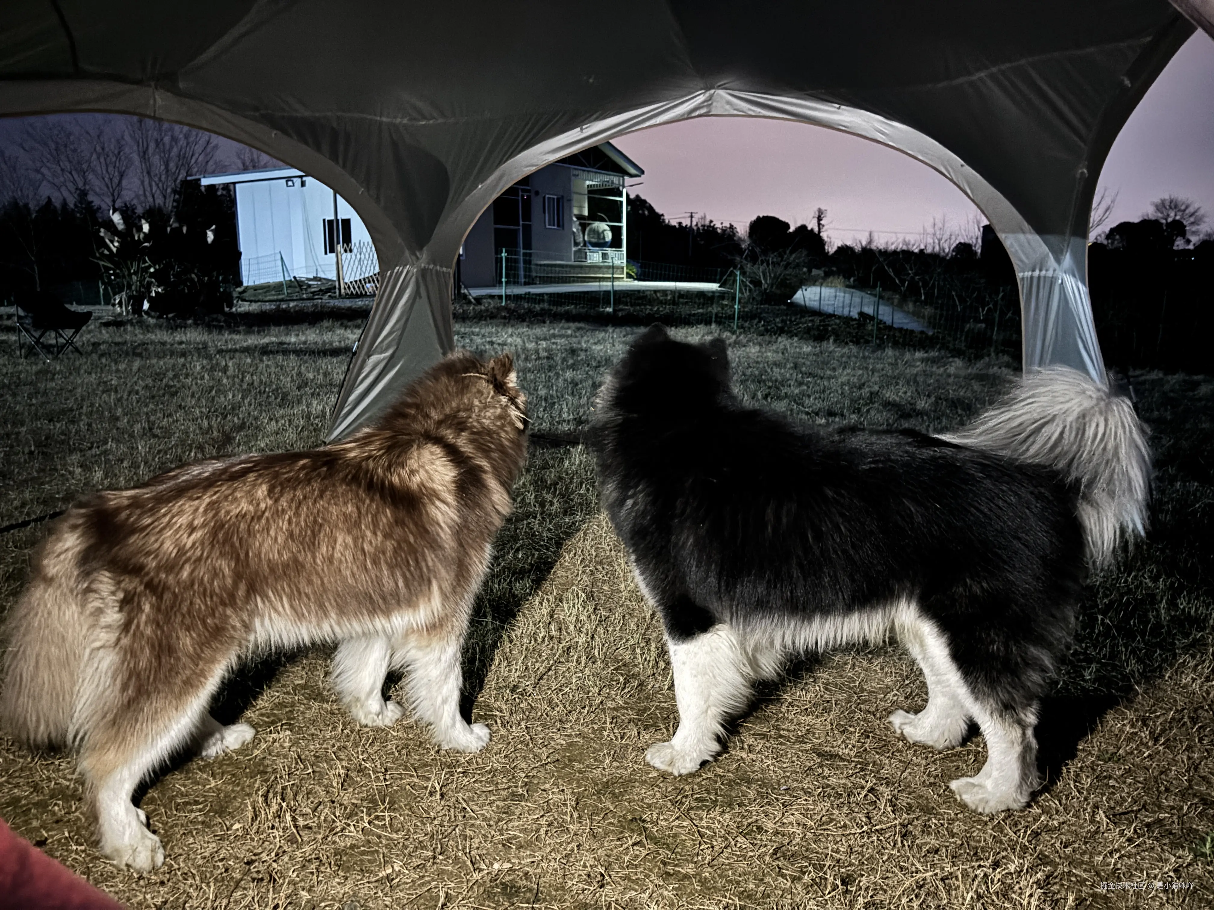 是小猫咪吖于2025-09-16 15:48发布的图片