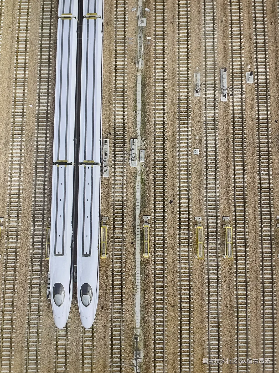 植物昂光于2026-04-13 20:53发布的图片