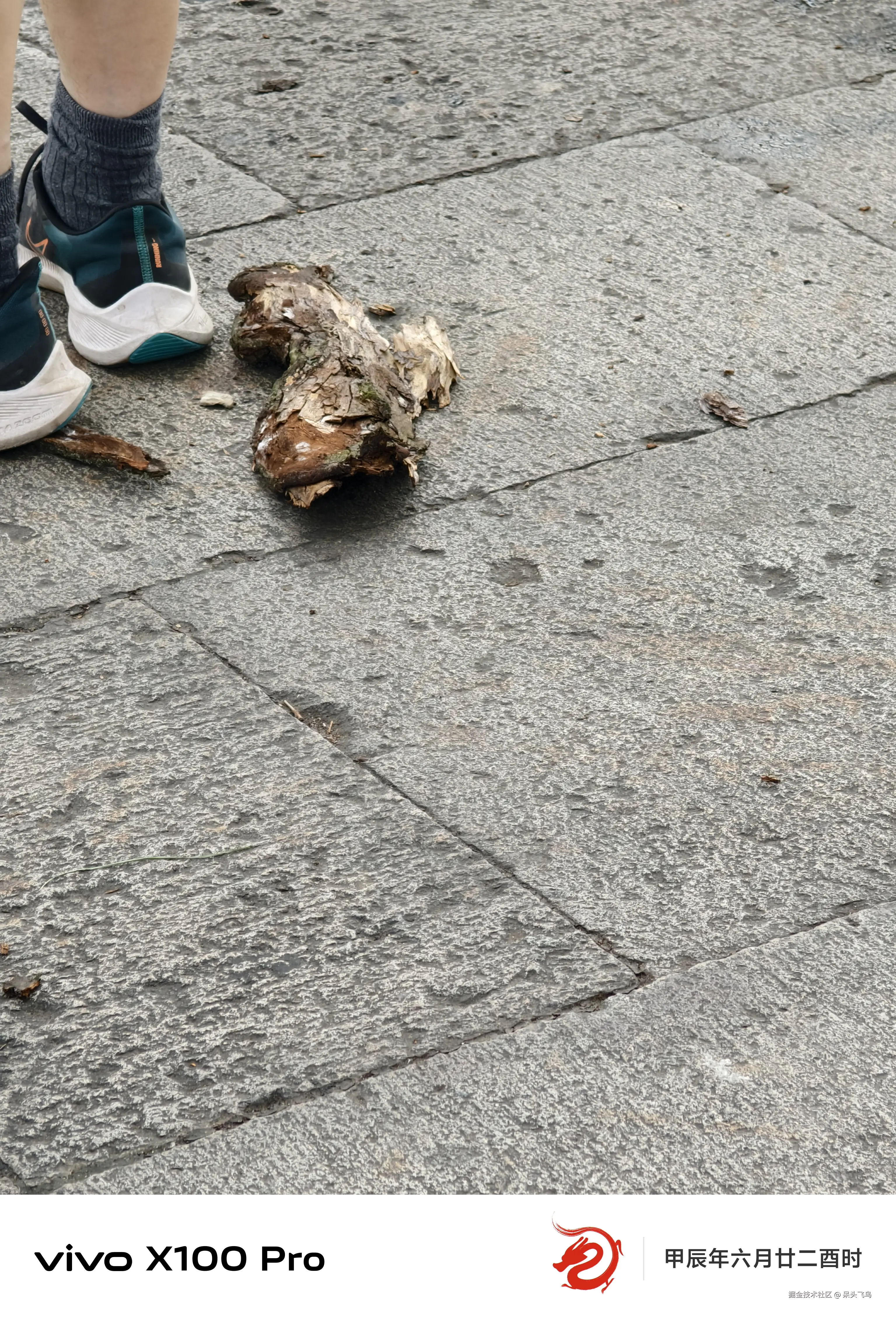 呆头飞鸟于2024-07-27 17:04发布的图片