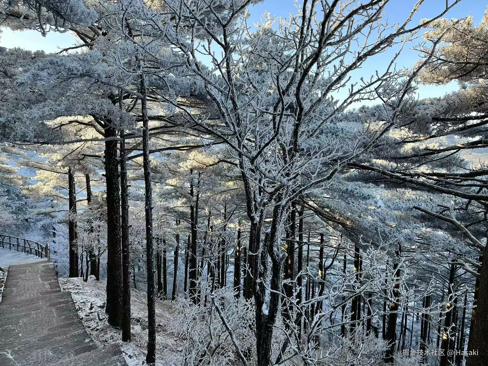 Hasaki于2024-12-16 02:21发布的图片