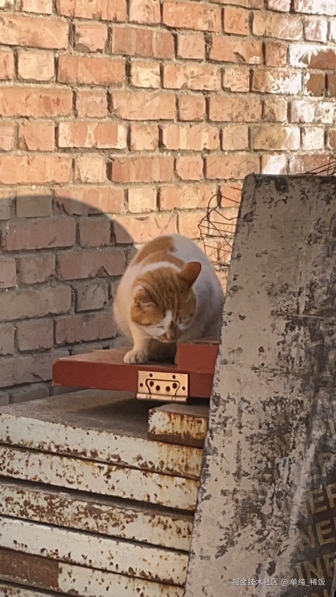 单纯_稀饭于2025-12-04 11:35发布的图片