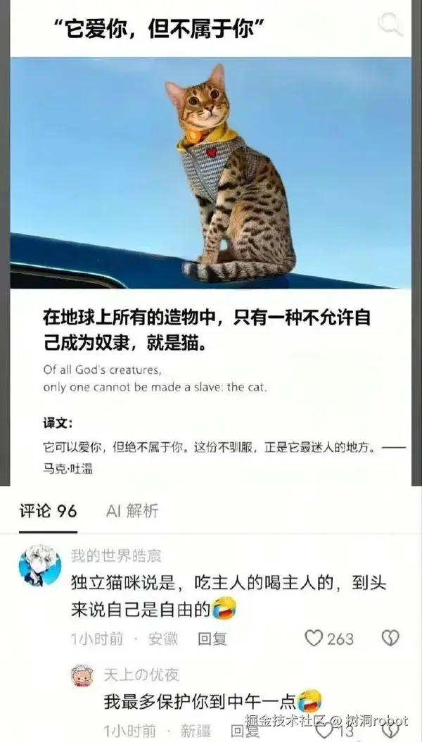 树洞robot于2026-09-04 02:31发布的图片
