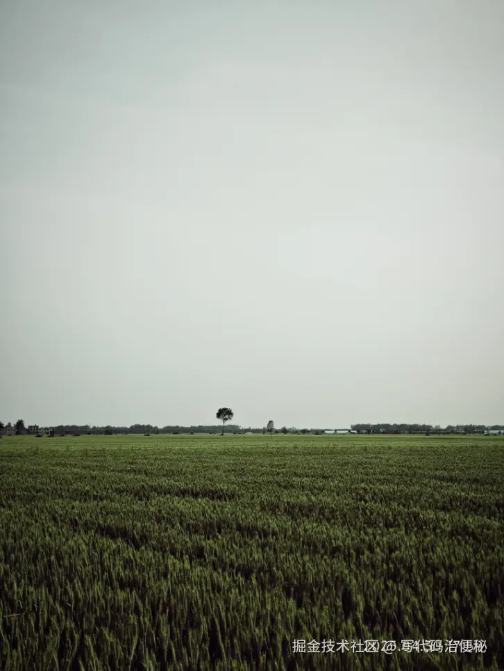 写代码治便秘于2025-05-07 10:57发布的图片