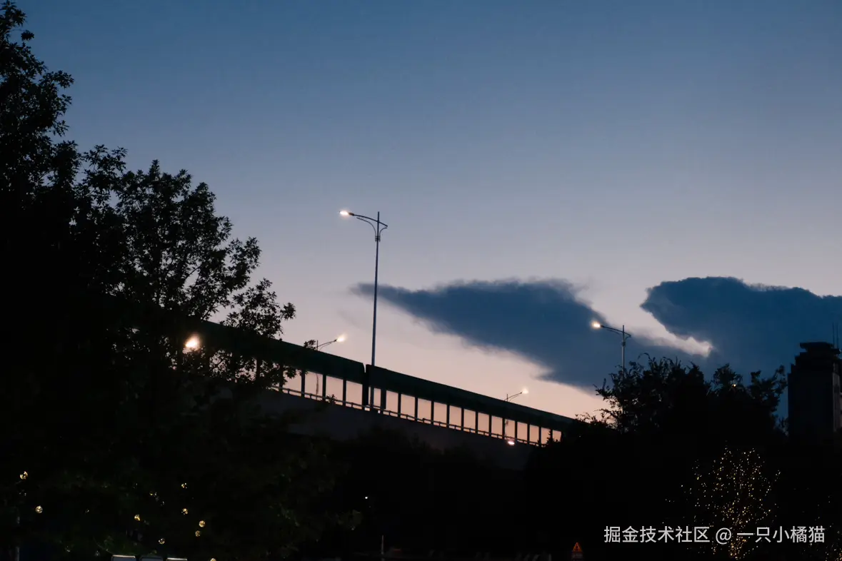 一只小橘猫于2024-07-30 10:43发布的图片