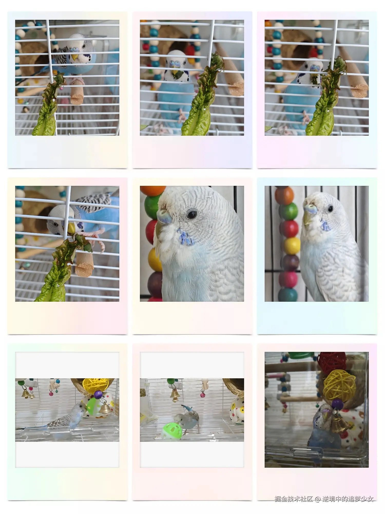 逆境中的追梦少女于2025-01-20 10:57发布的图片