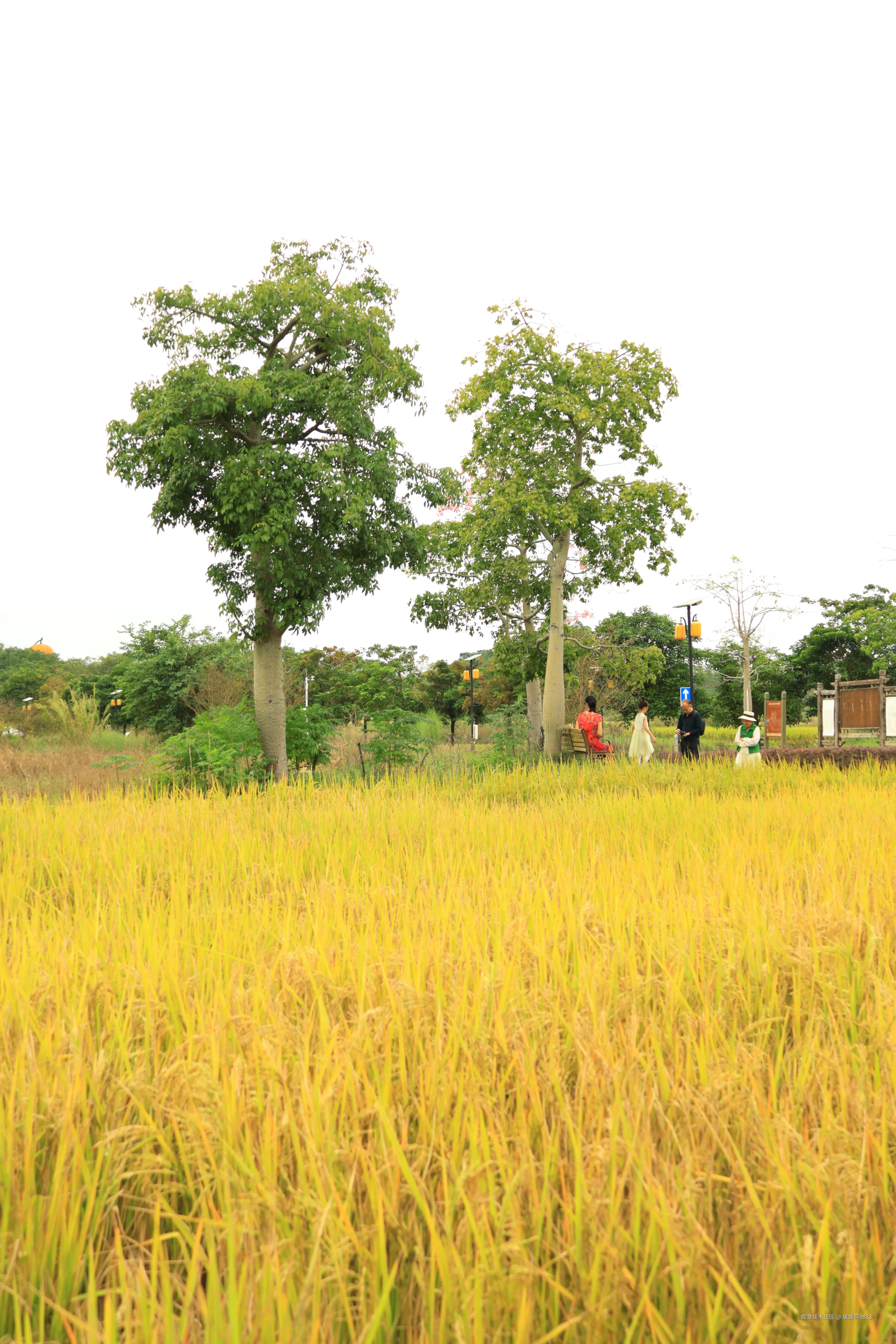 媛媛啊9813于2025-11-09 21:29发布的图片