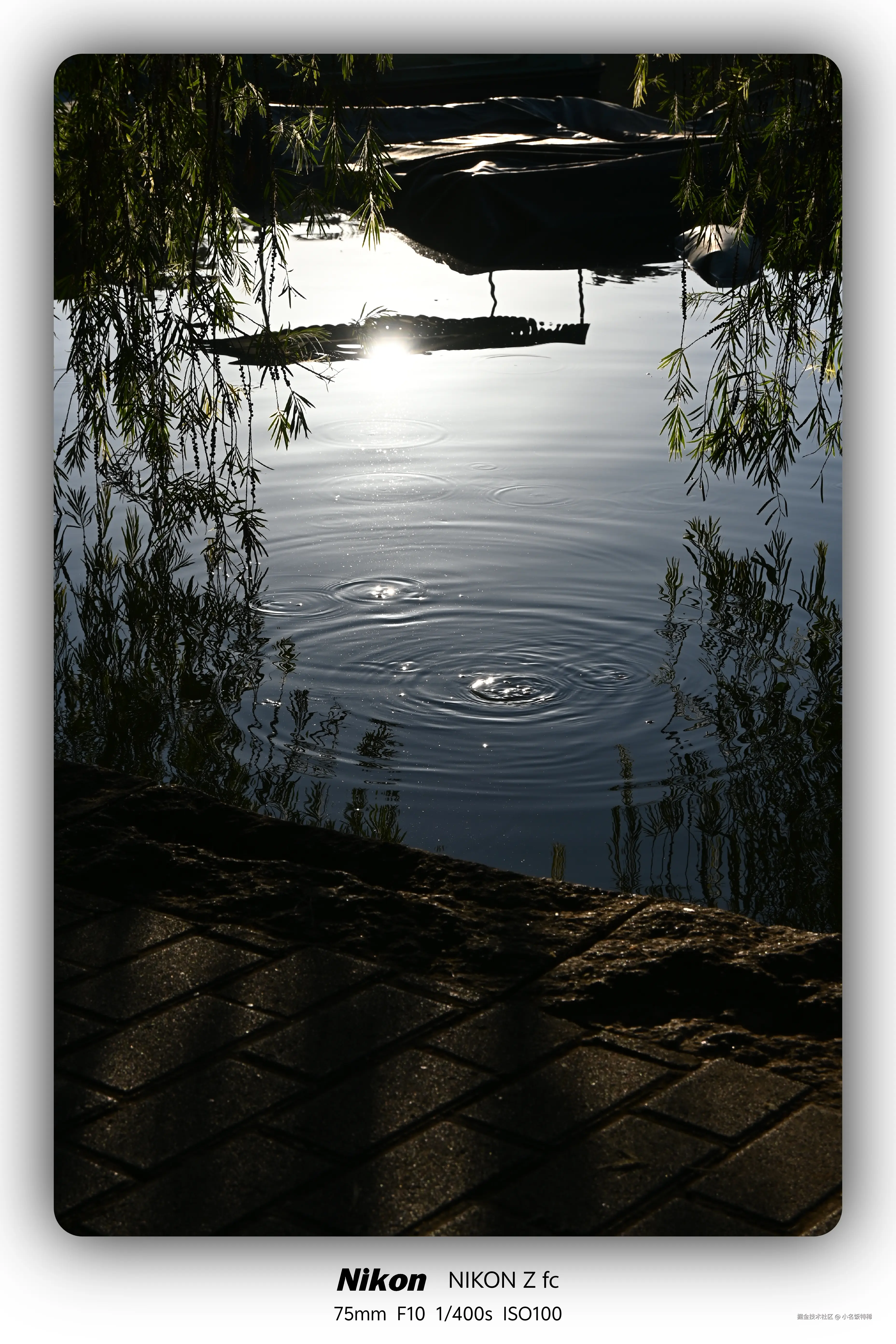 小名饭特稀于2025-11-10 01:59发布的图片