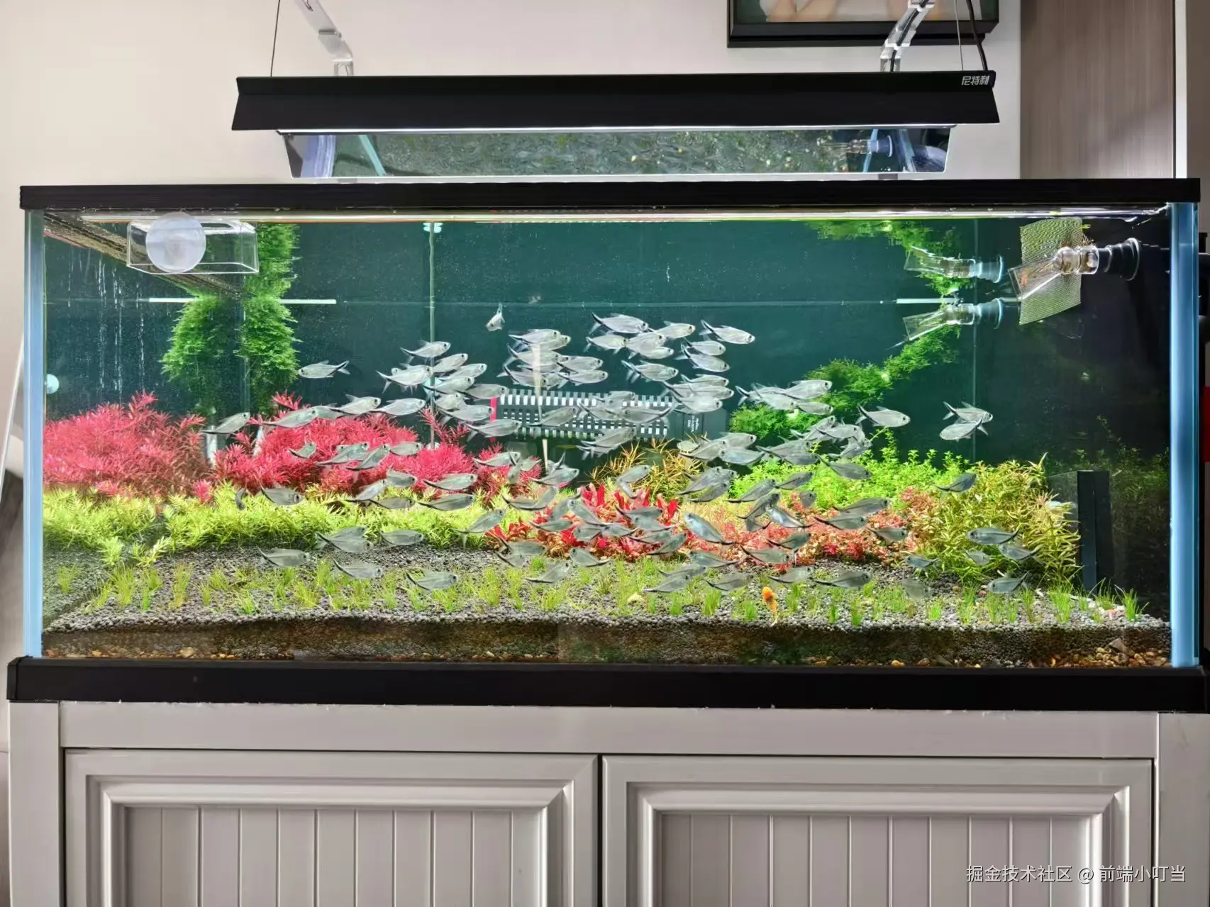 前端小叮当于2024-09-11 09:52发布的图片