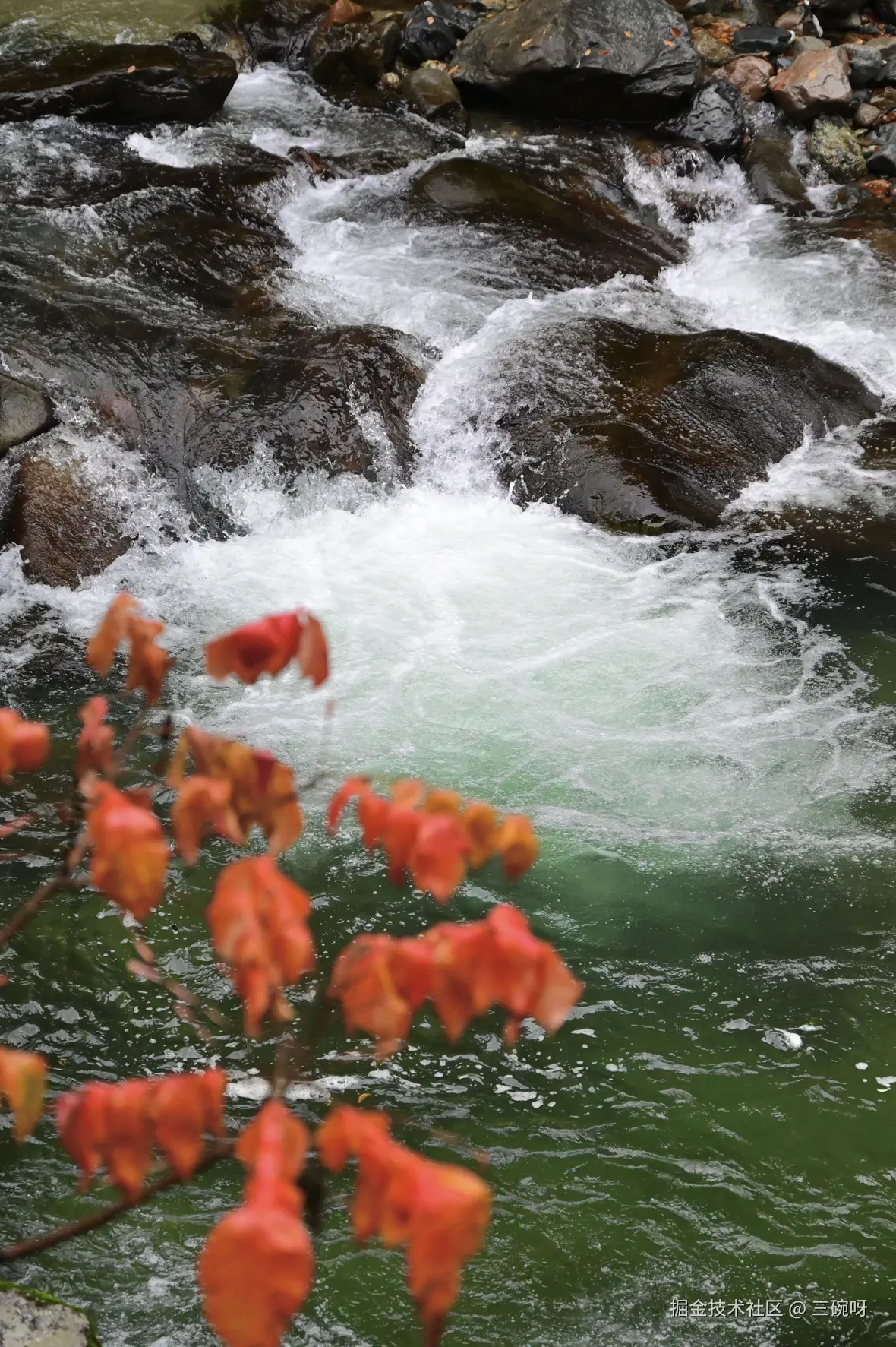 三碗呀于2024-10-28 14:26发布的图片