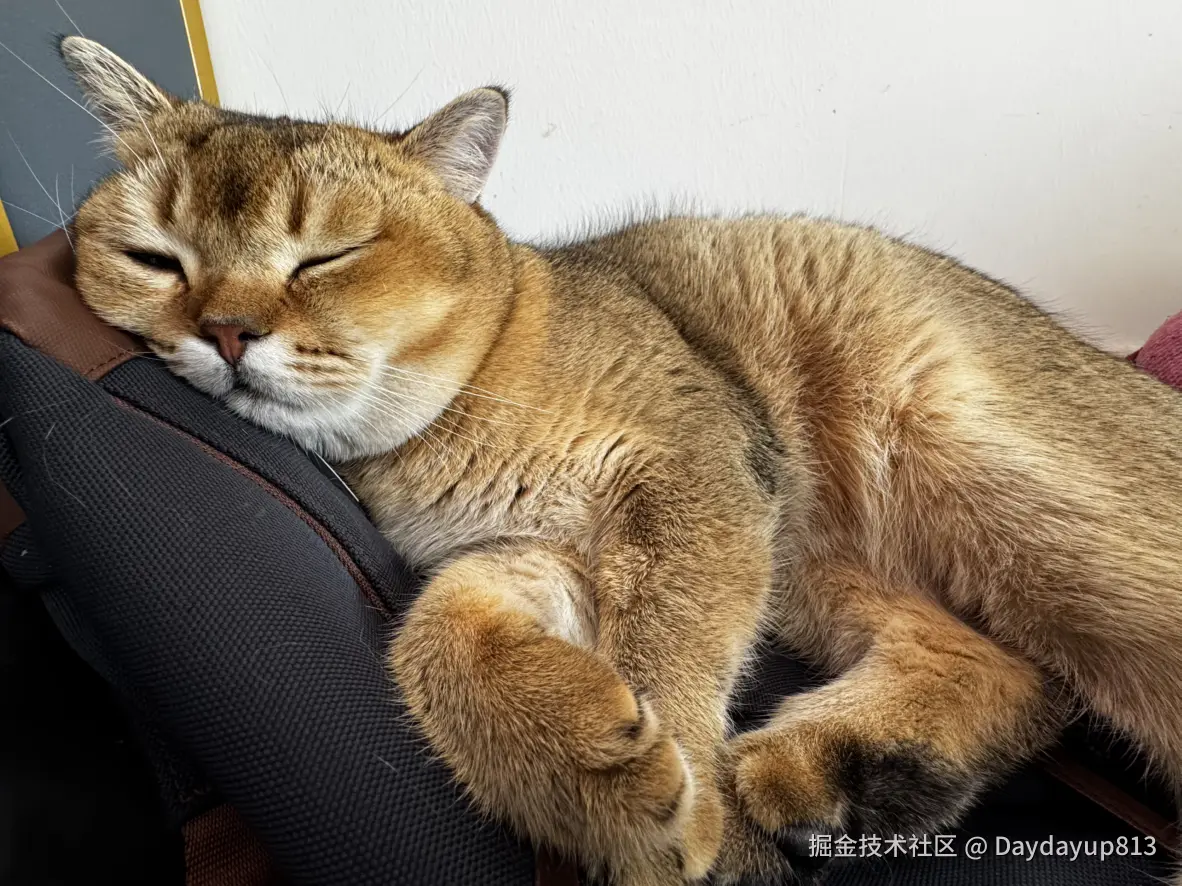 Daydayup813于2025-02-17 11:27发布的图片