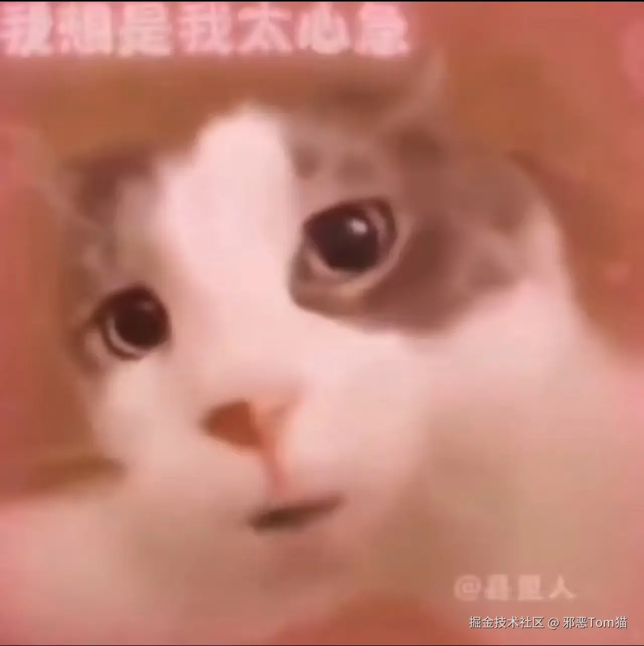 邪恶Tom猫于2025-01-15 14:34发布的图片