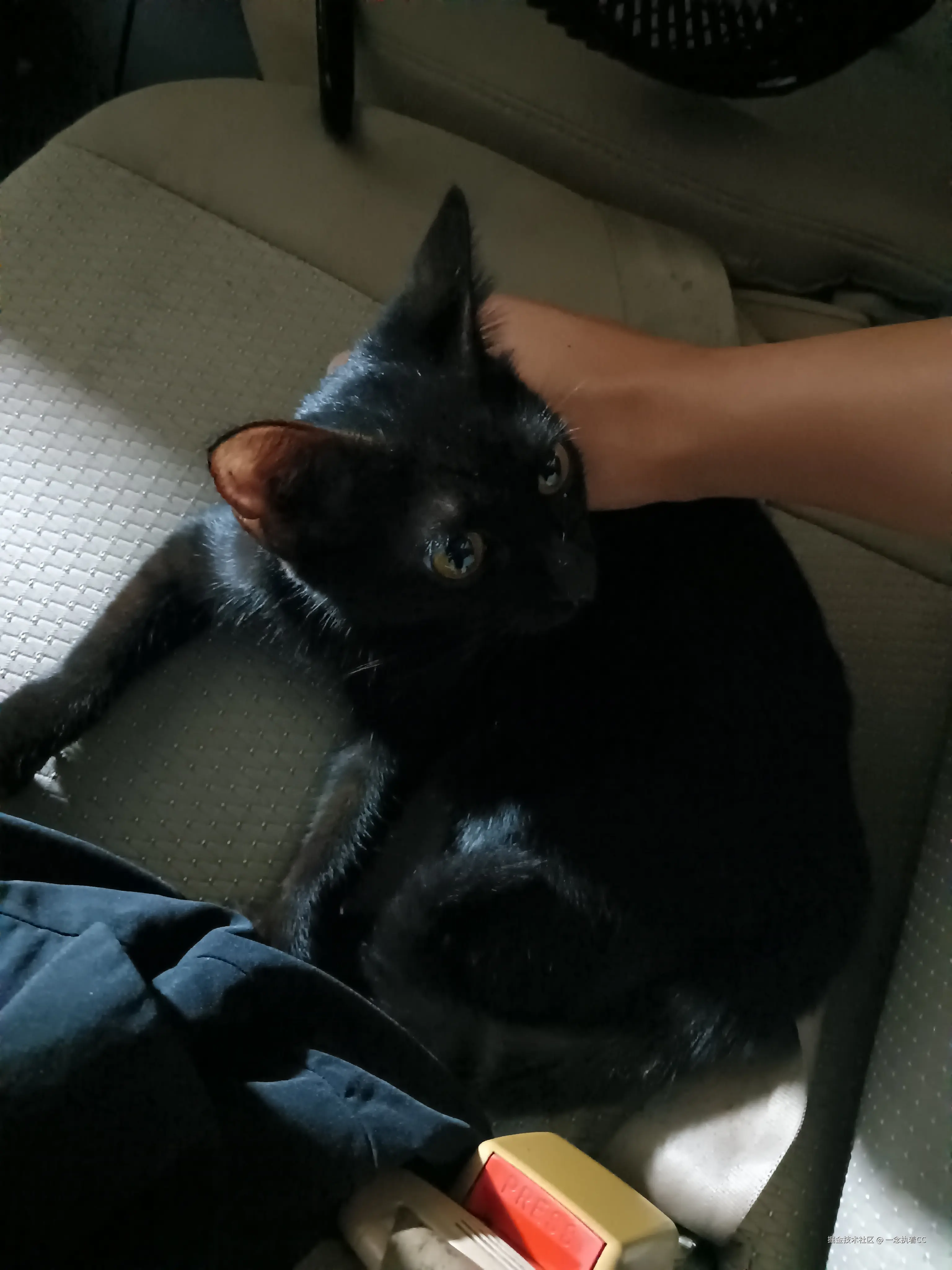 一念执着CC于2024-10-11 09:20发布的图片