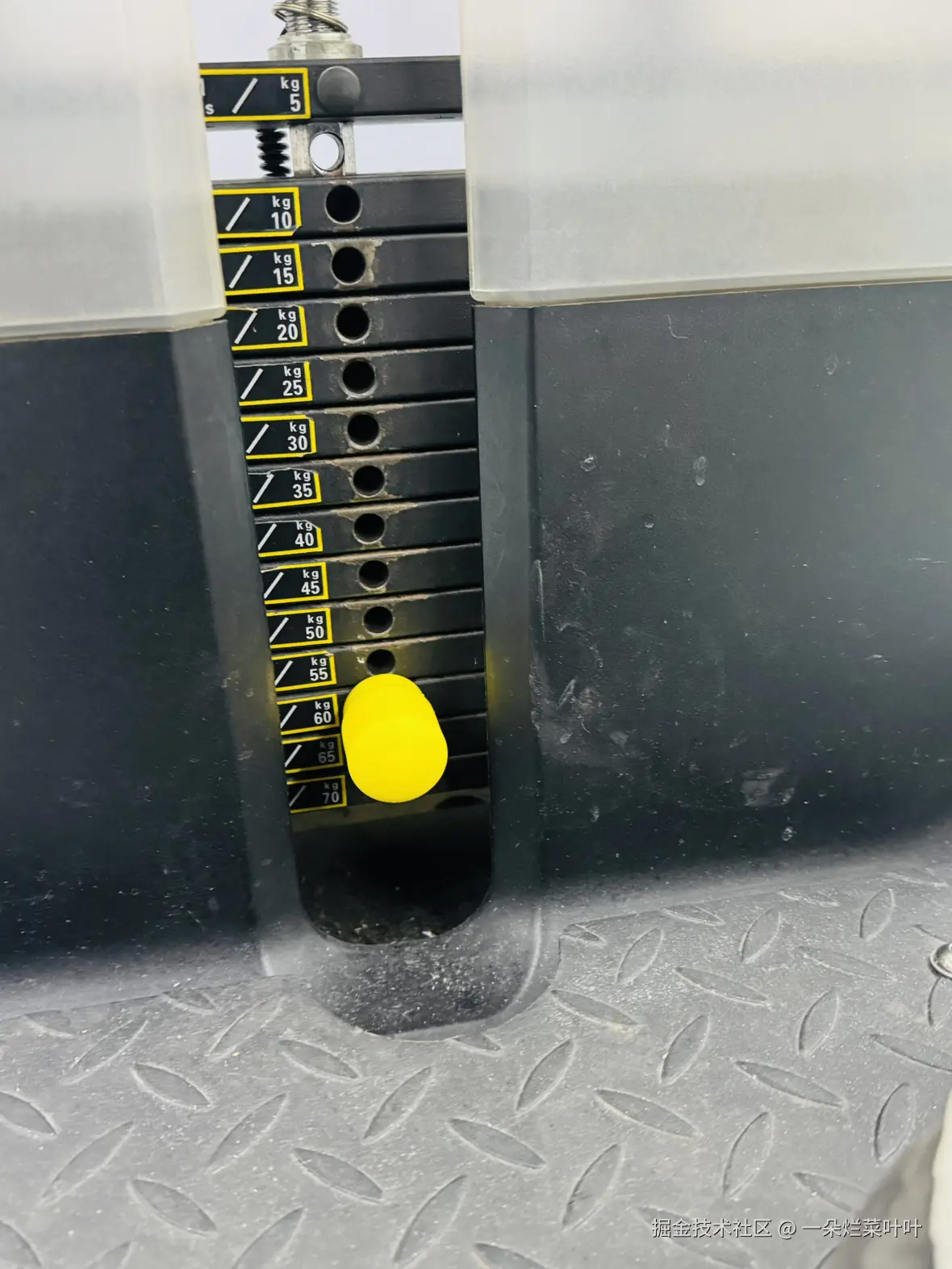 一朵烂菜叶叶于2024-12-19 10:02发布的图片