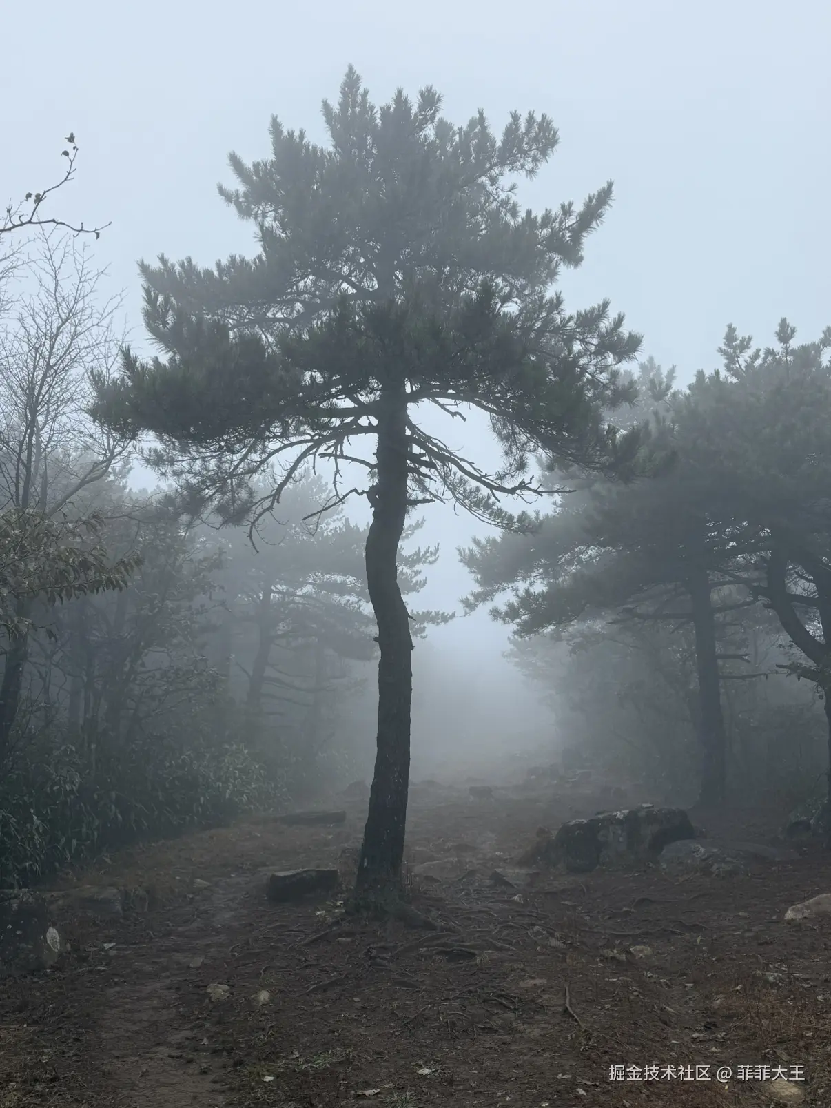 菲菲大王于2025-11-03 03:04发布的图片