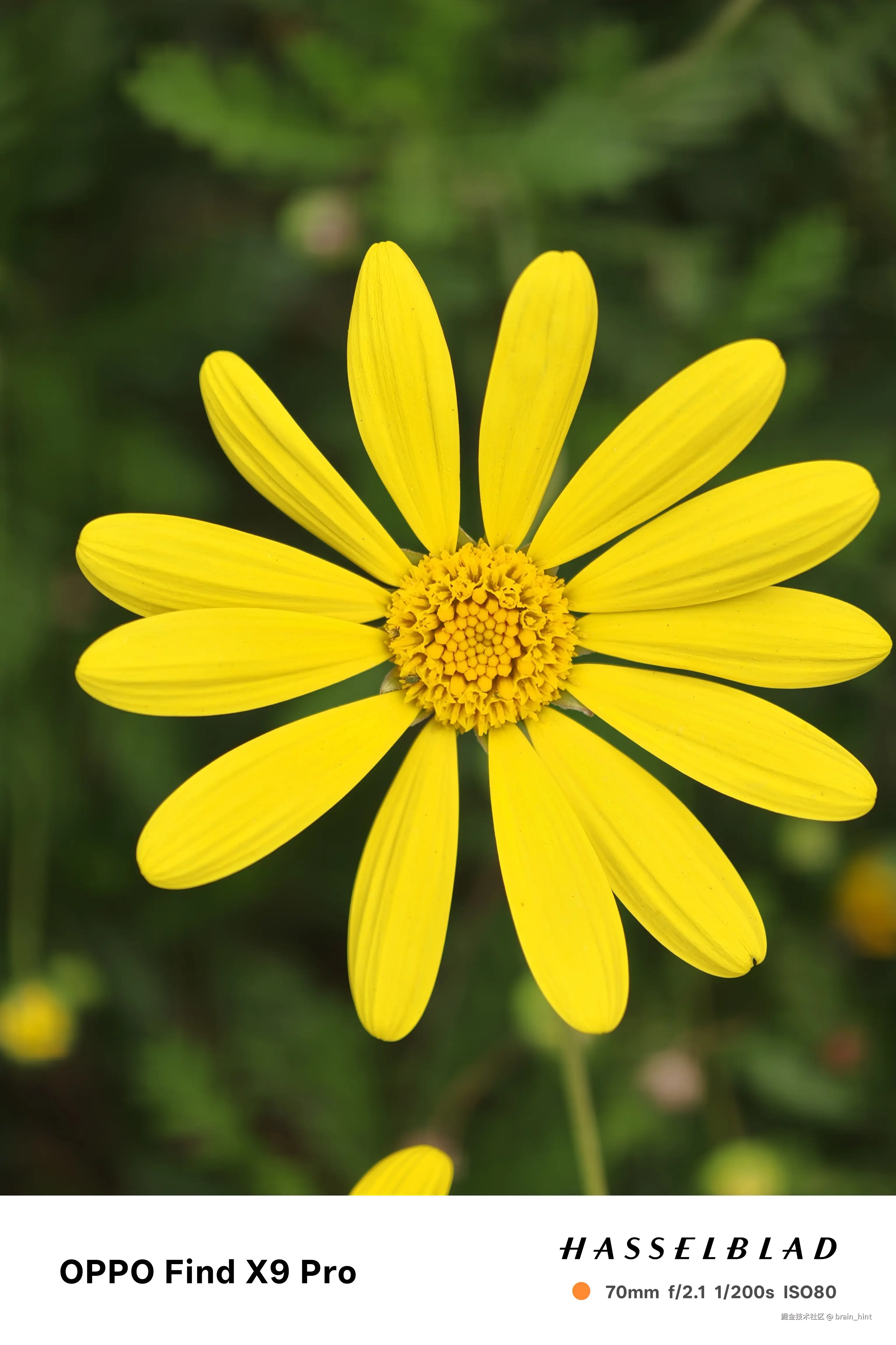 brain_hint于2026-04-09 15:53发布的图片