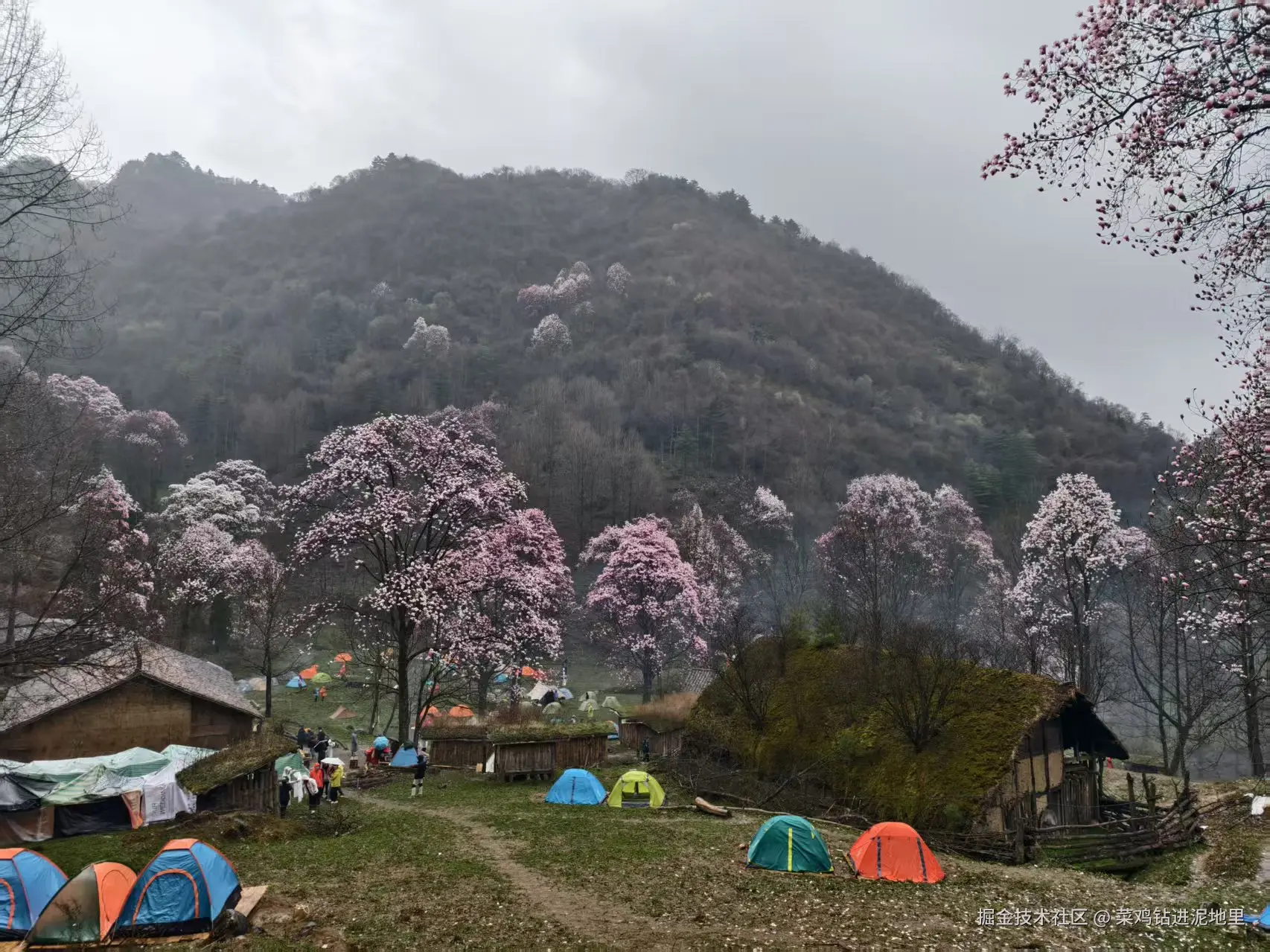 菜鸡钻进泥地里于2026-04-07 09:58发布的图片