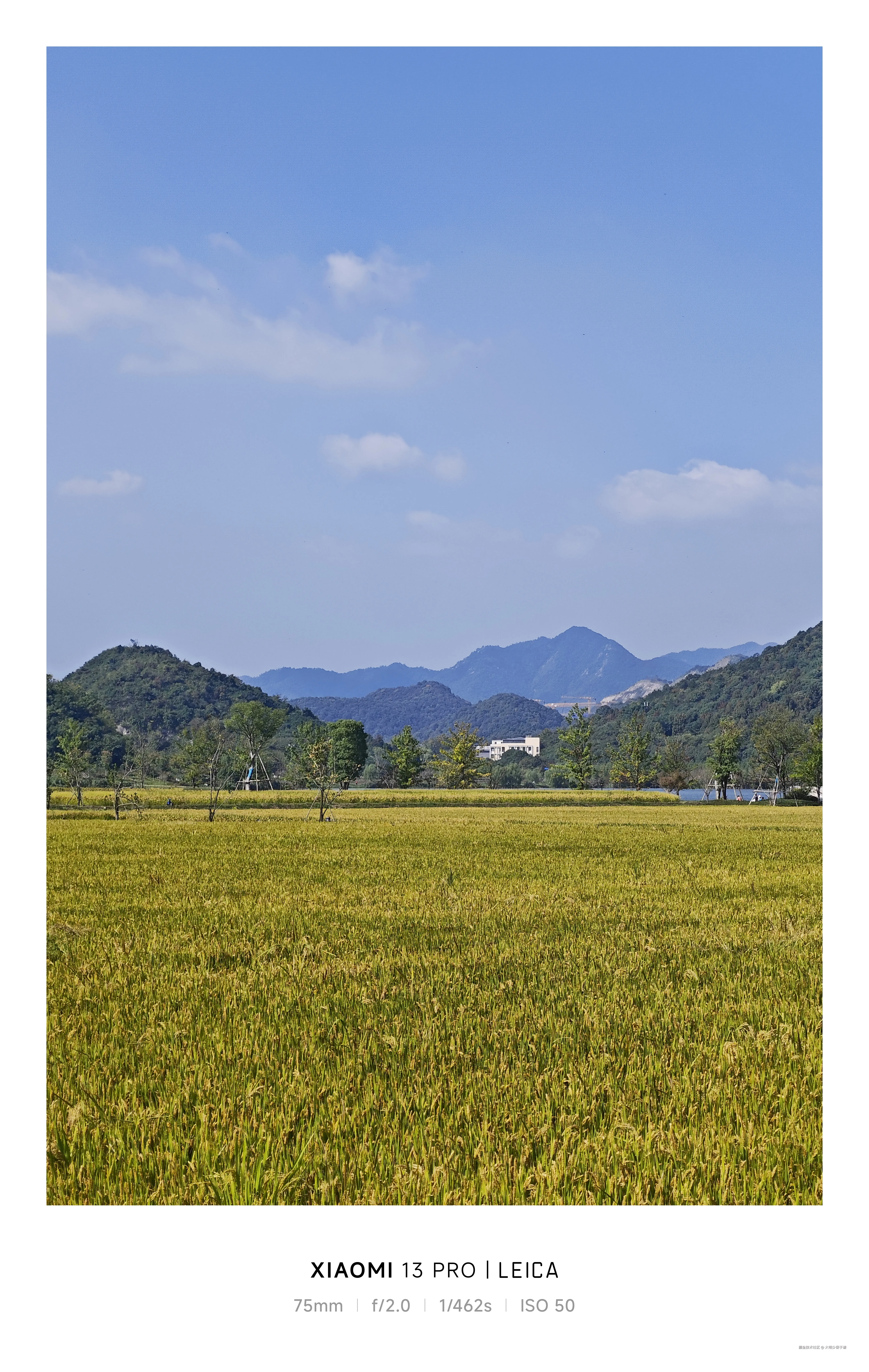 大明少保于谦于2024-11-08 11:32发布的图片