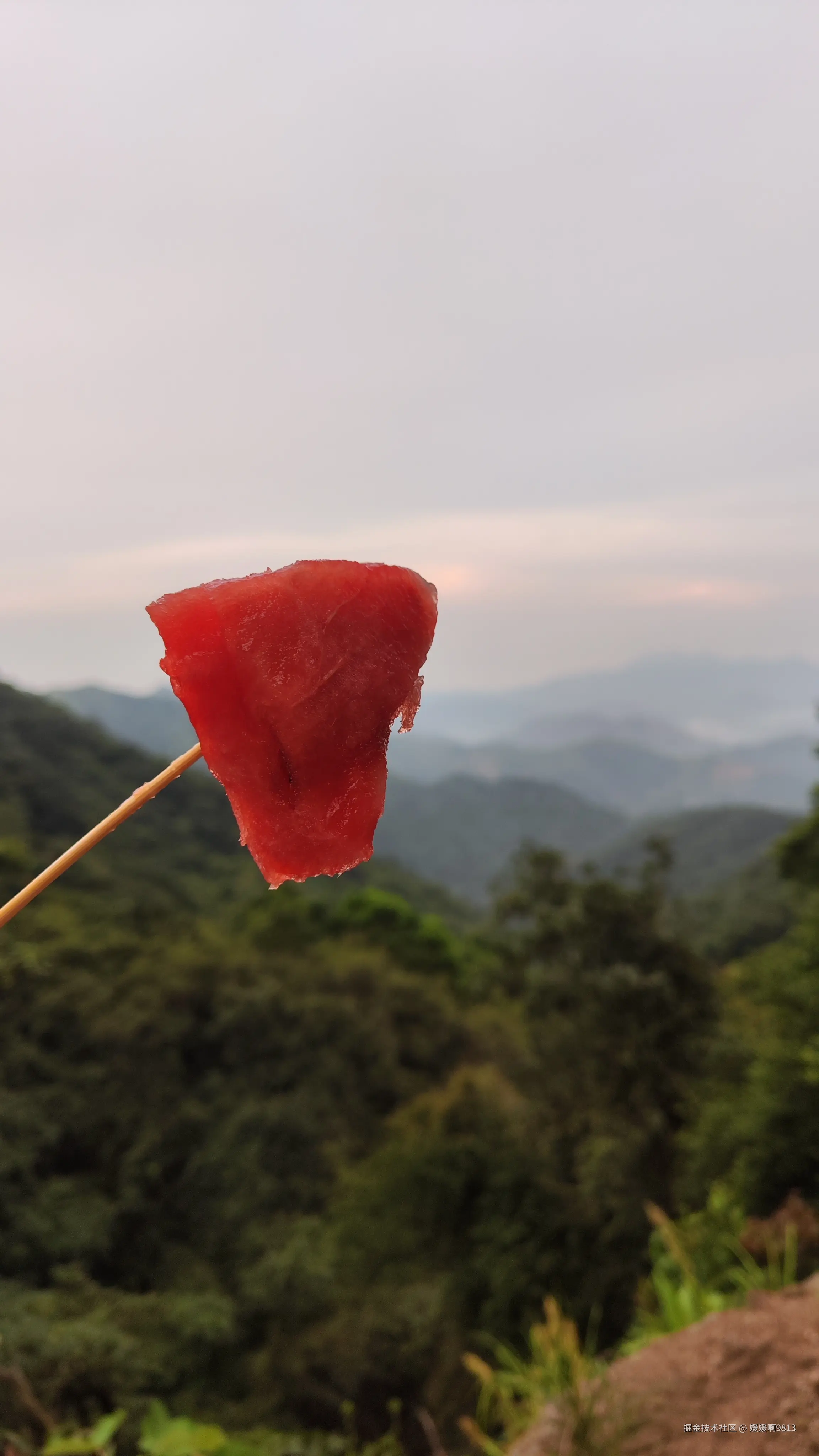 媛媛啊9813于2025-07-20 16:55发布的图片