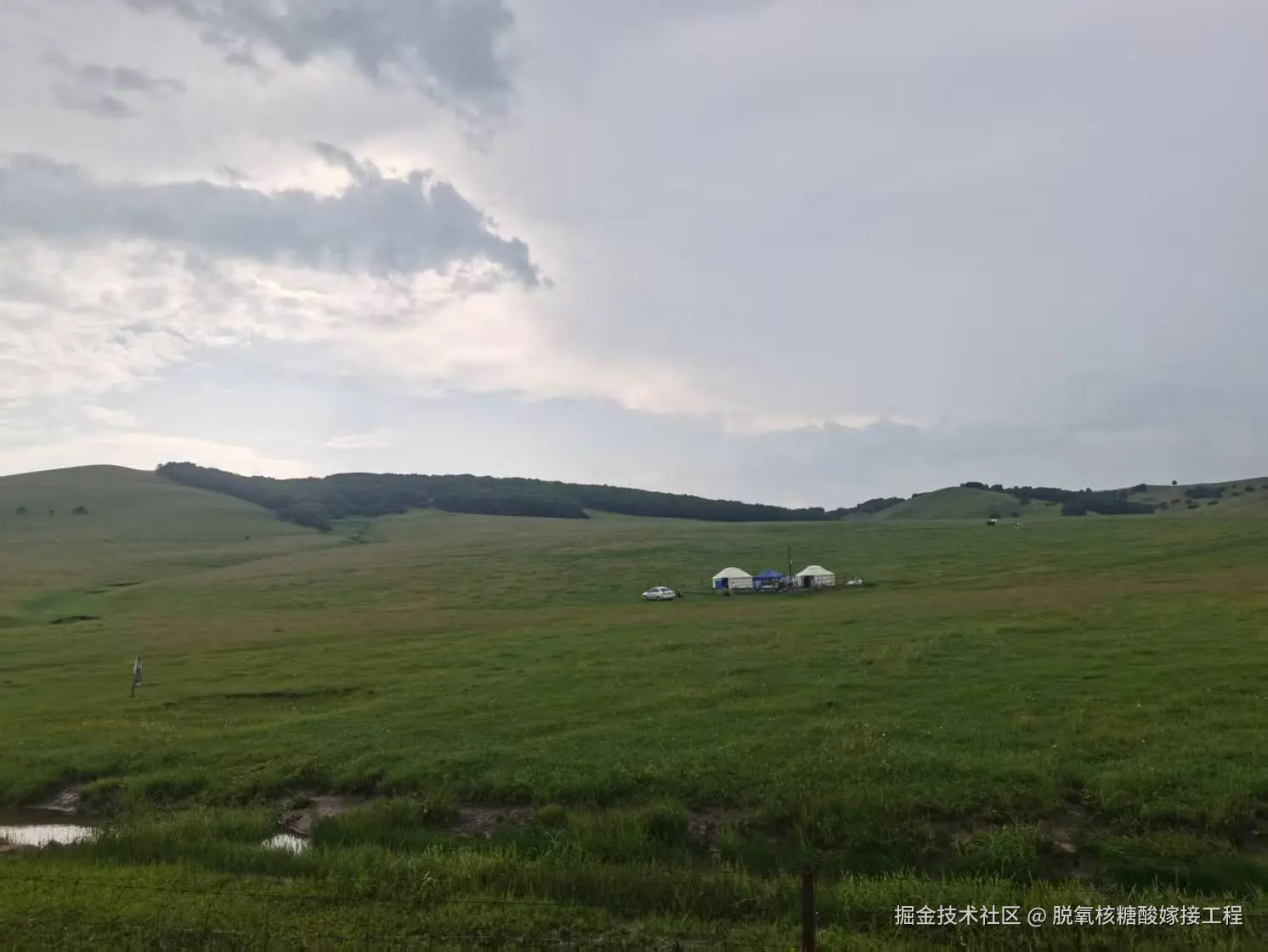 脱氧核糖酸嫁接工程于2025-07-15 13:57发布的图片
