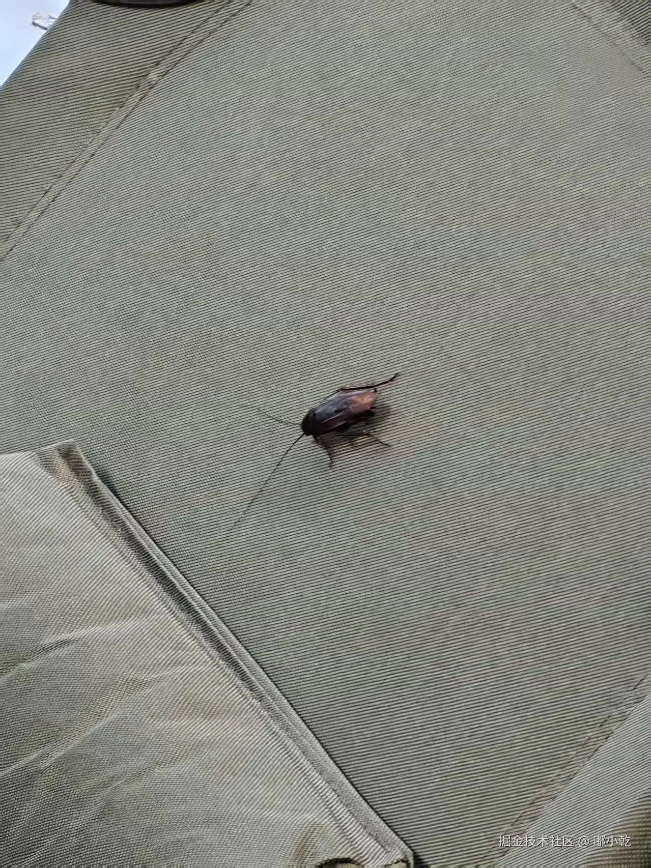 嘟小乾于2025-07-07 14:08发布的图片