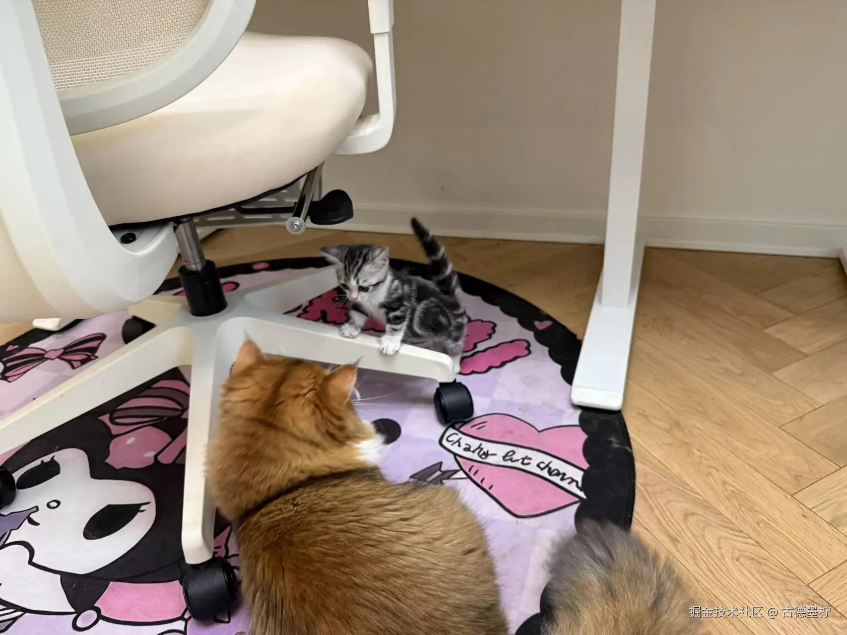 古德墨柠于2025-07-31 15:52发布的图片