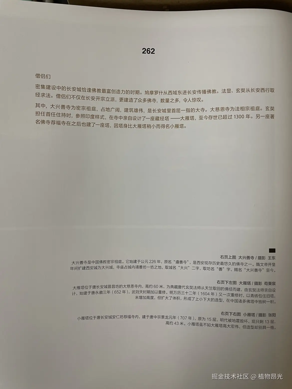 植物昂光于2026-03-31 21:07发布的图片