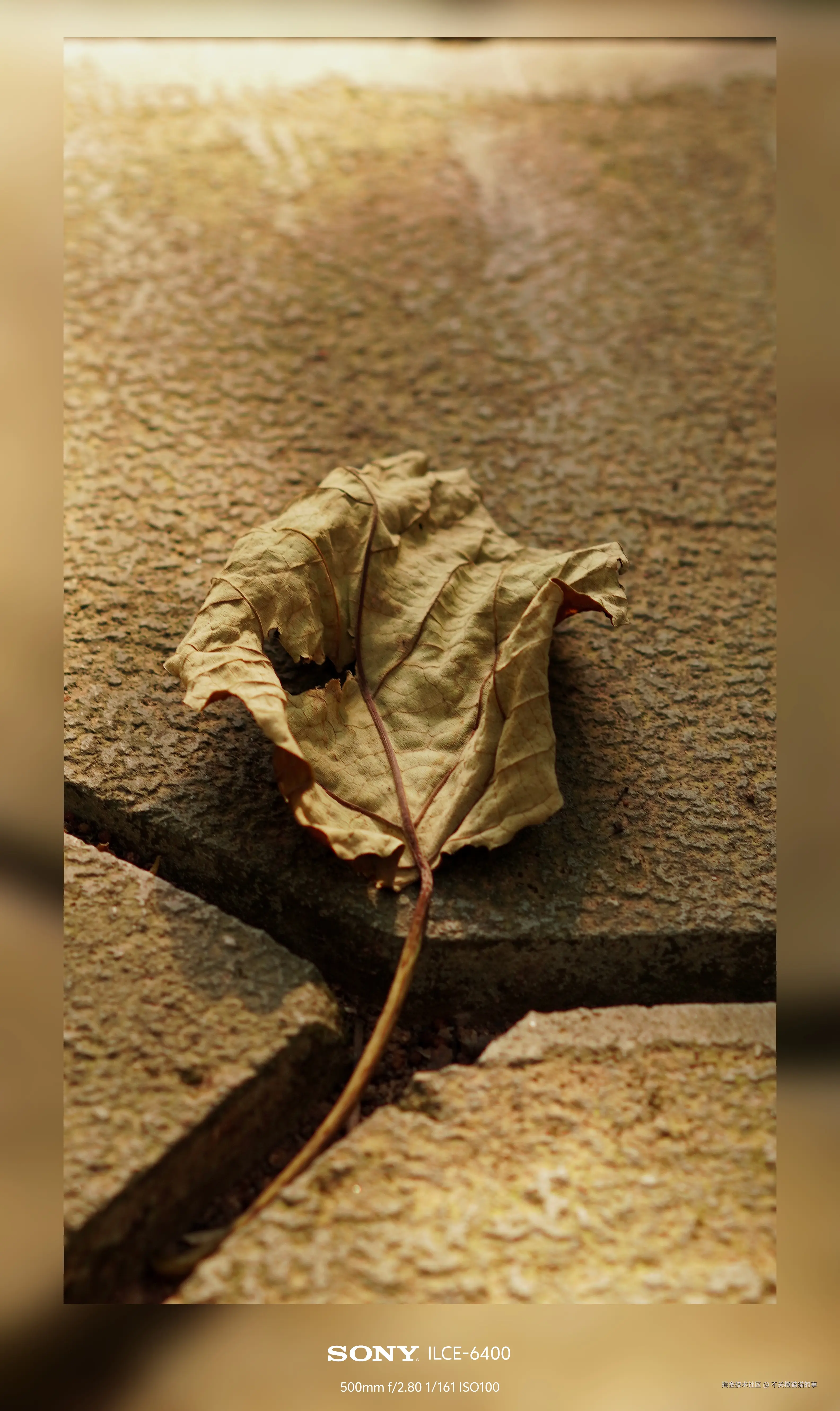 不关橙猫猫的事于2024-08-06 16:58发布的图片