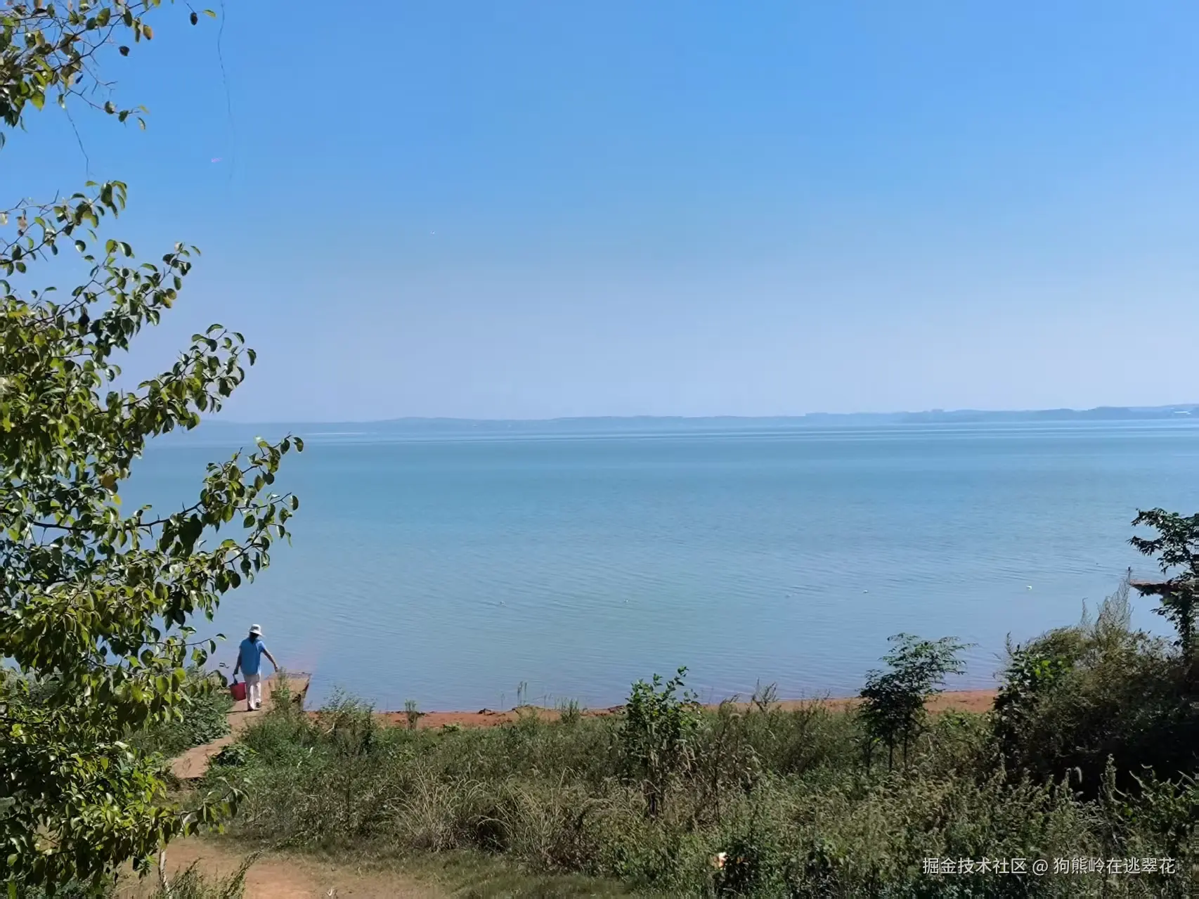 狗熊岭在逃翠花于2025-10-13 13:49发布的图片