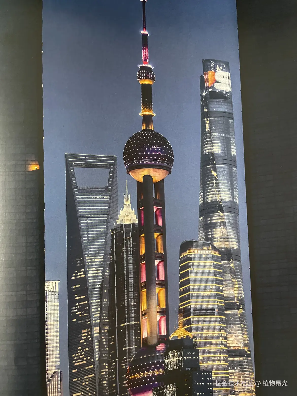 植物昂光于2026-04-28 21:07发布的图片