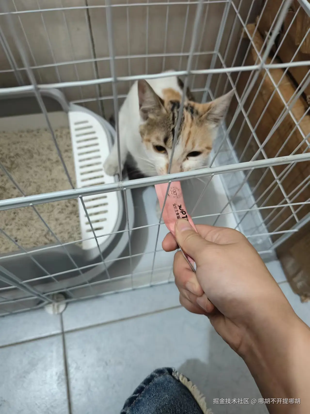 哪胡不开提哪胡于2024-10-14 09:27发布的图片