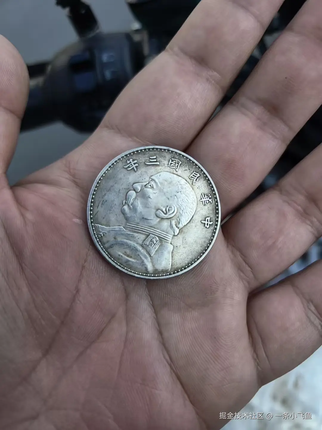 一条小飞鱼于2025-11-21 06:49发布的图片