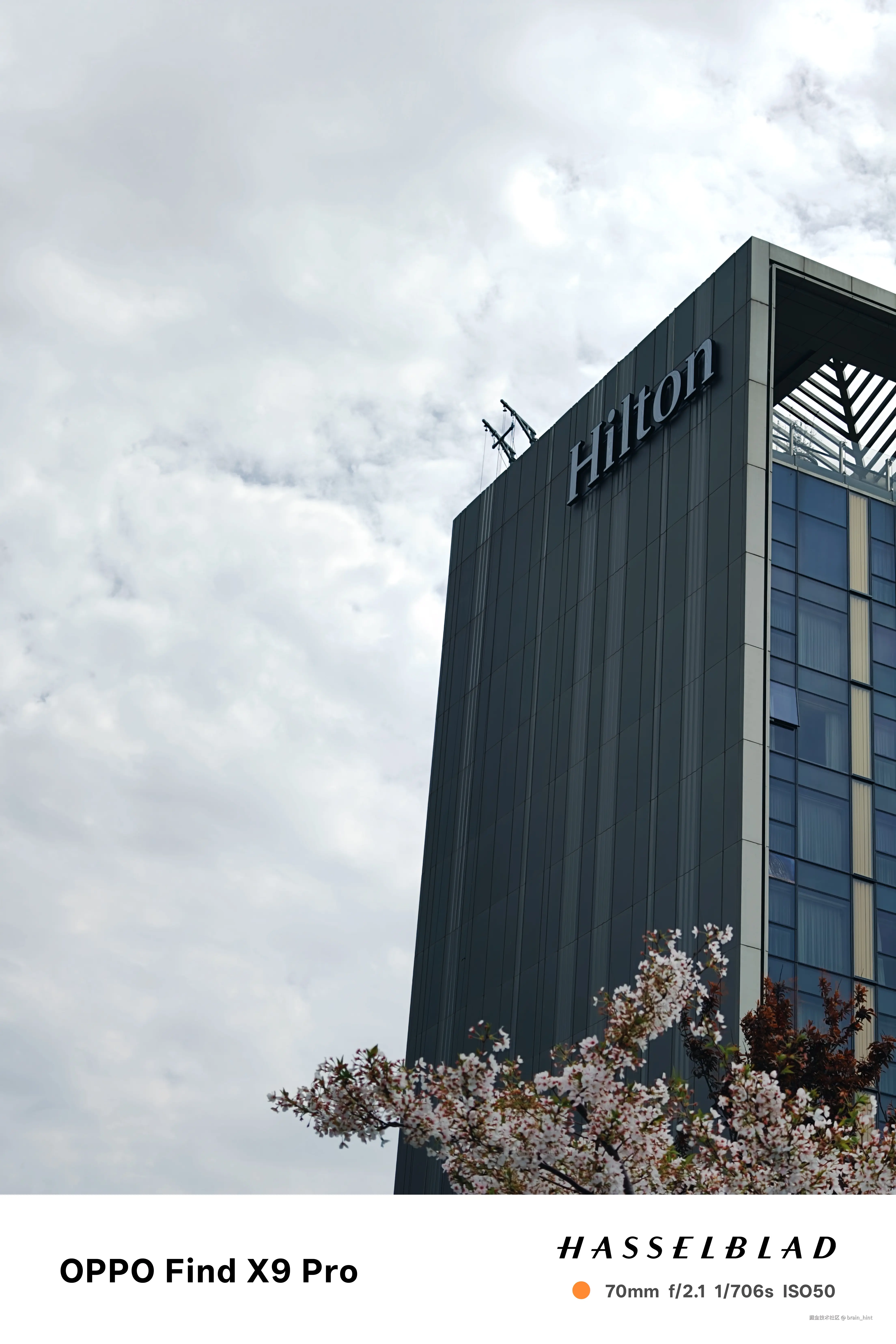 brain_hint于2026-04-09 15:53发布的图片