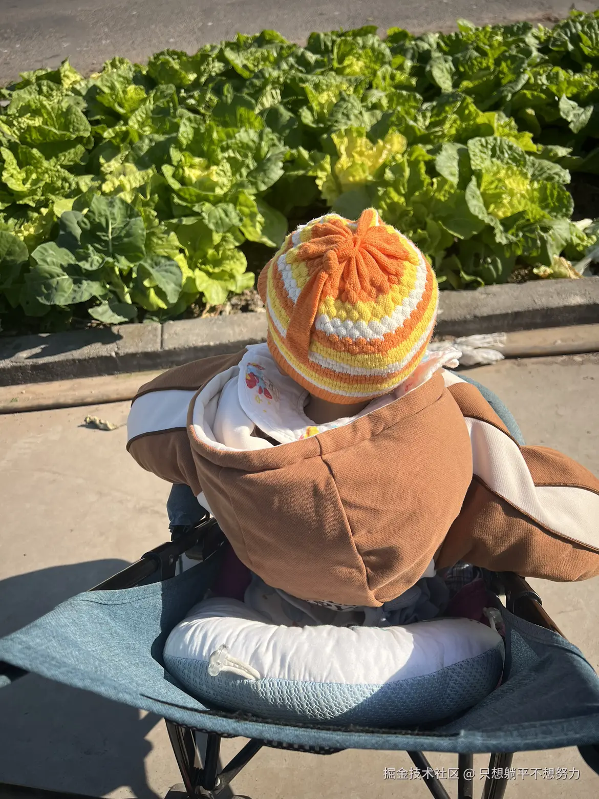 只想躺平不想努力于2025-11-21 01:56发布的图片