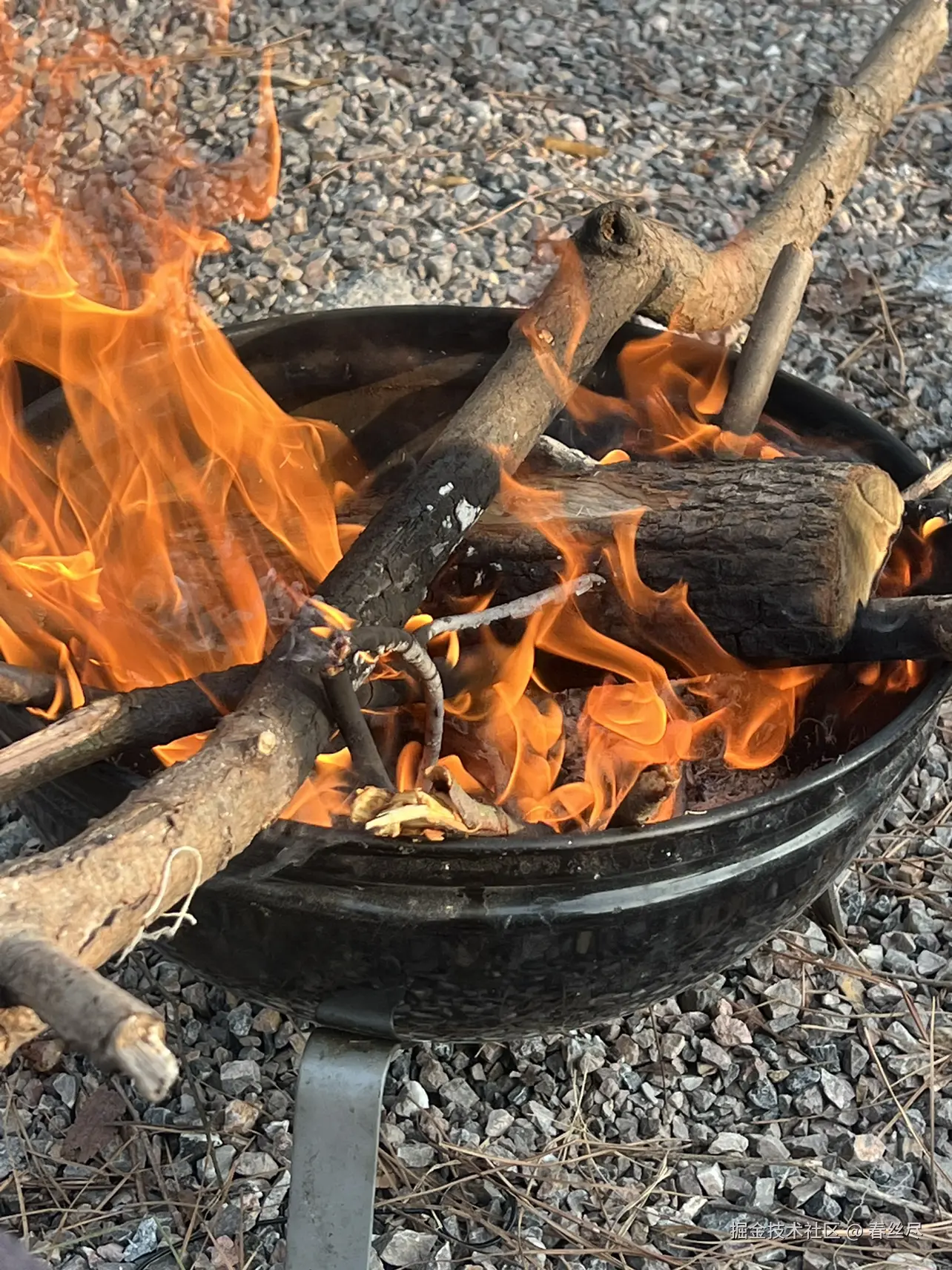 春丝尽于2026-04-17 14:40发布的图片