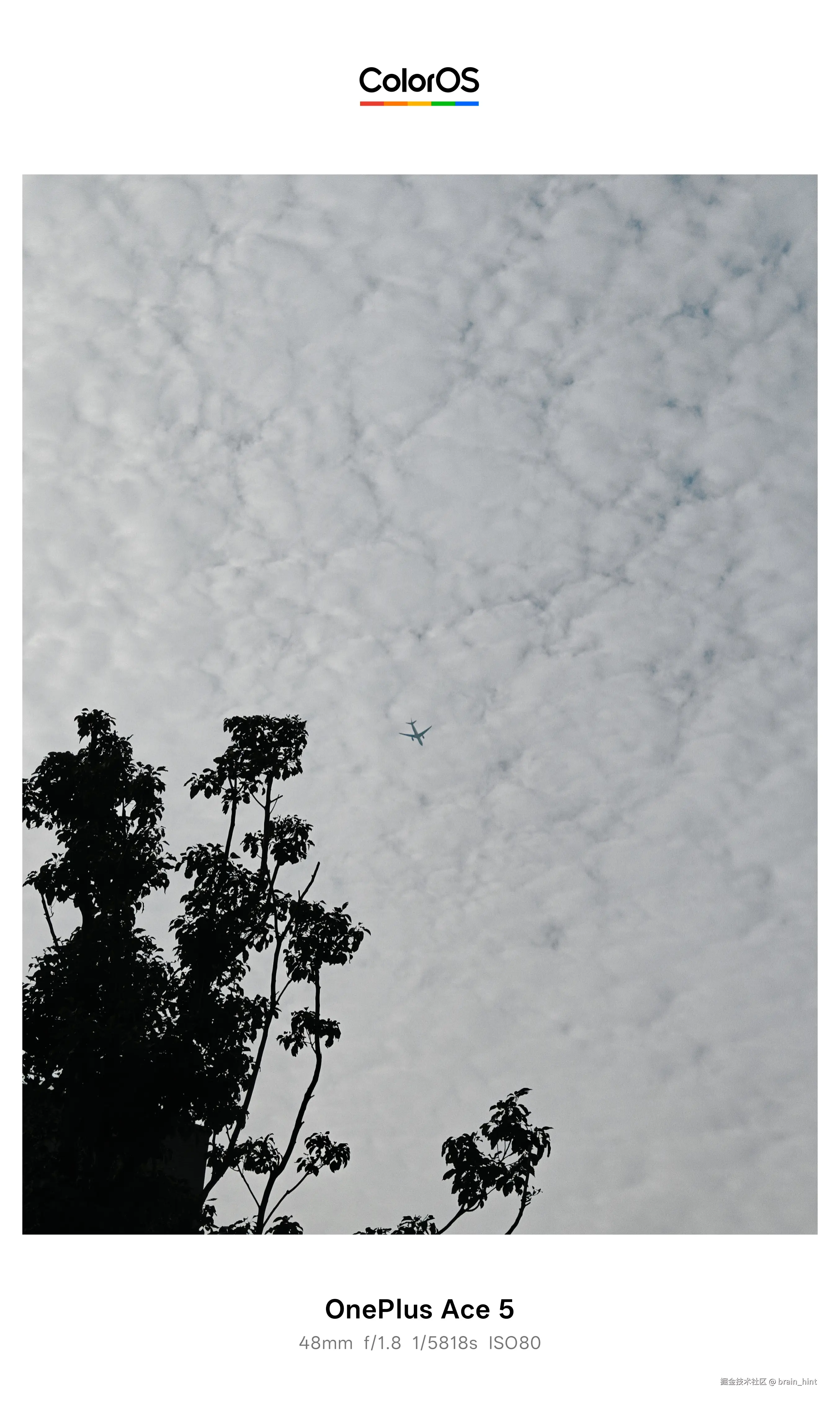 brain_hint于2025-11-24 13:37发布的图片