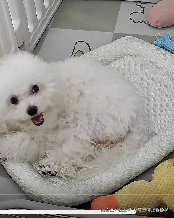 林黛玉倒拔垂杨柳于2024-09-11 11:27发布的图片