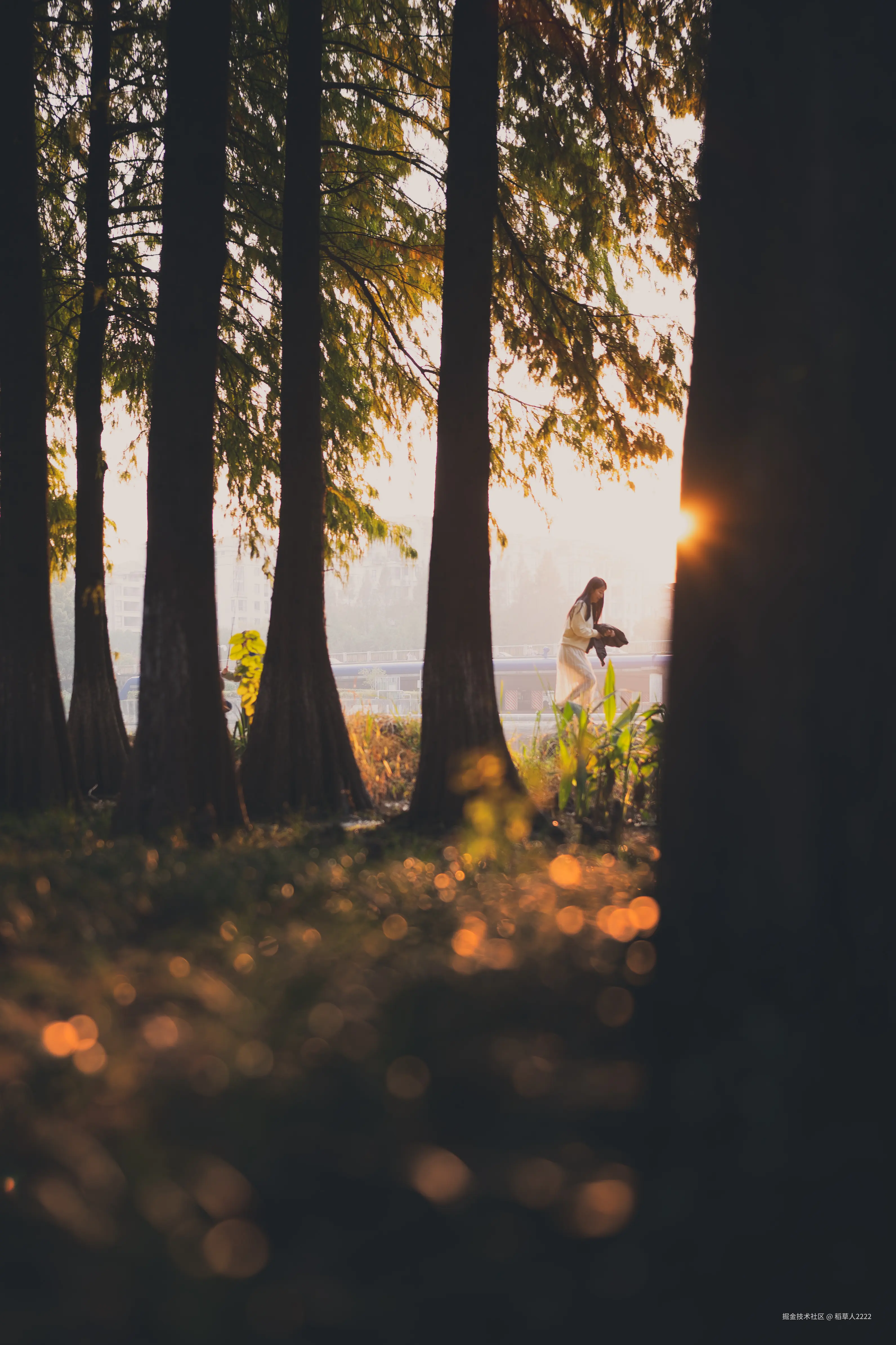 稻草人2222于2025-11-24 10:33发布的图片