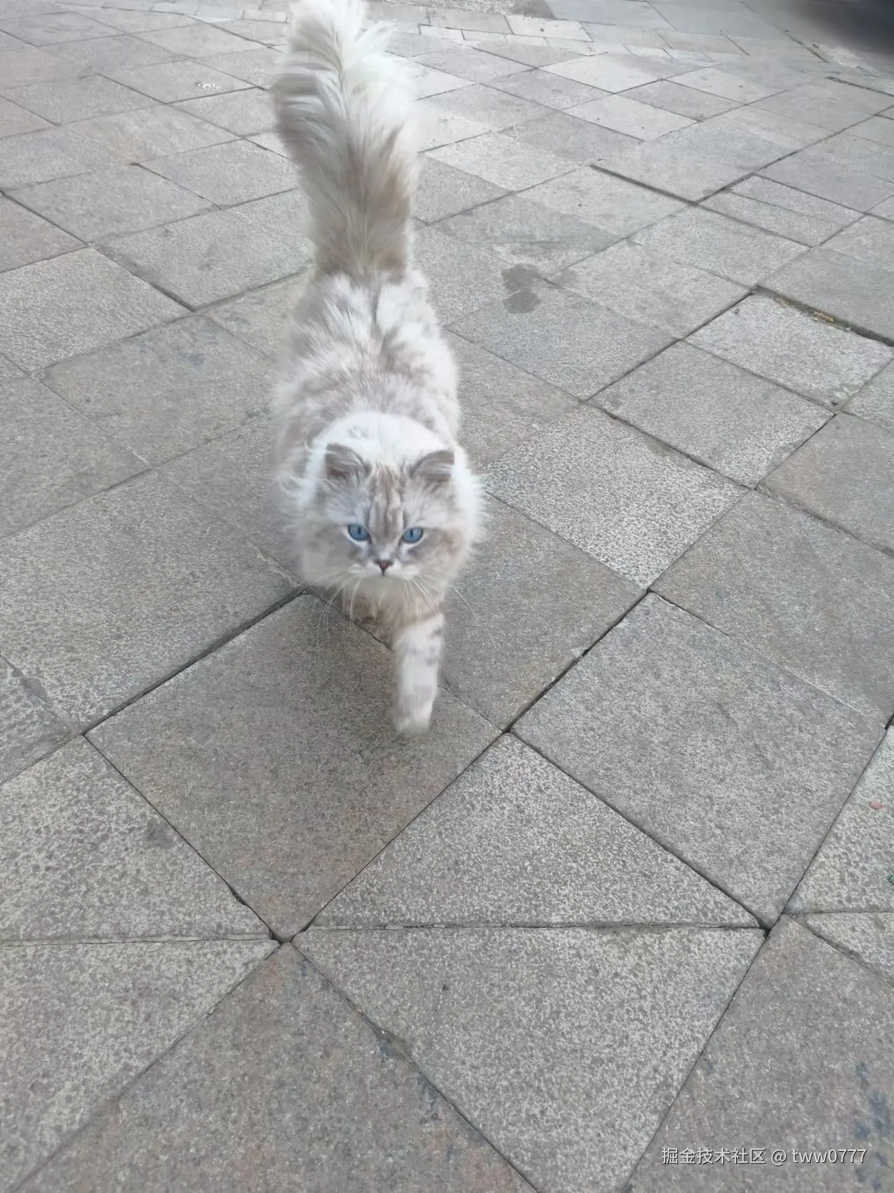 tww0777于2025-01-06 11:29发布的图片