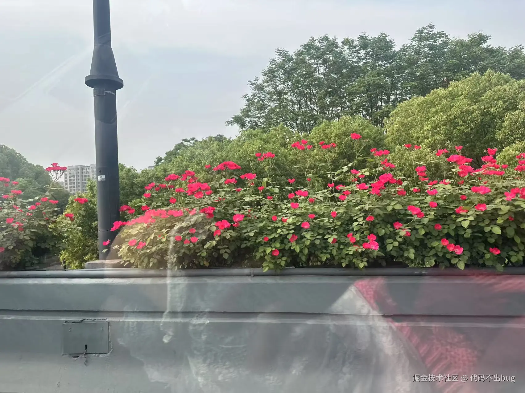 代码不出bug于2025-04-24 11:57发布的图片