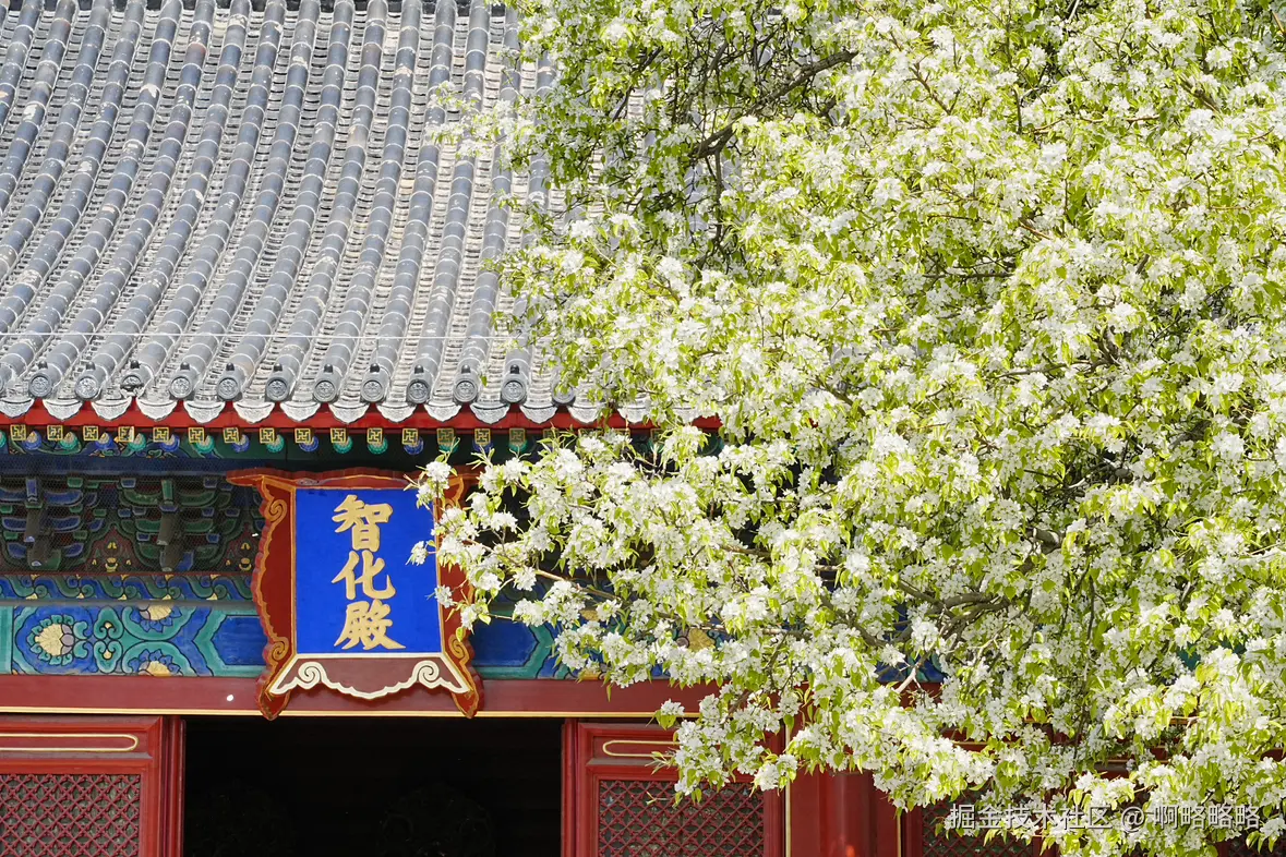 啊略略略于2025-04-02 14:21发布的图片