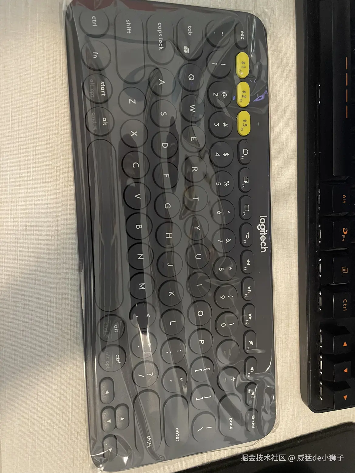 威猛de小狮子于2024-08-24 17:44发布的图片