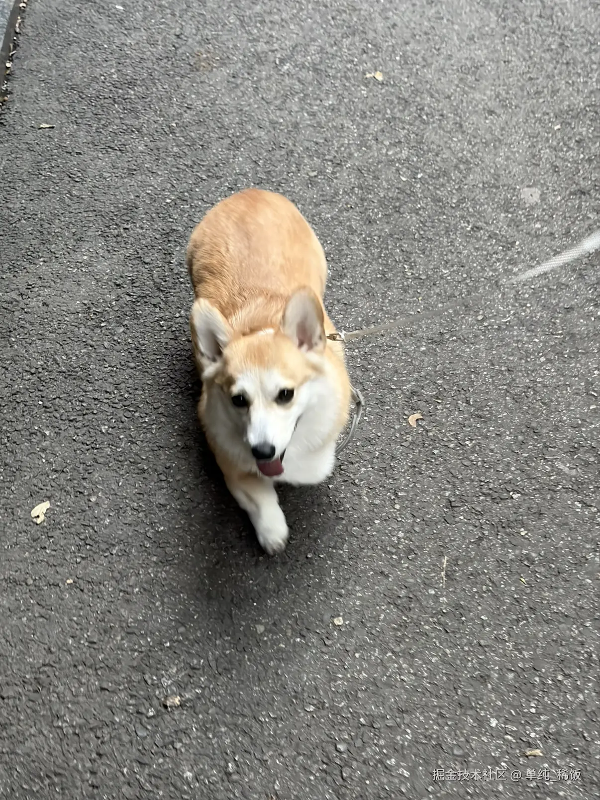 单纯_稀饭于2026-04-01 07:44发布的图片