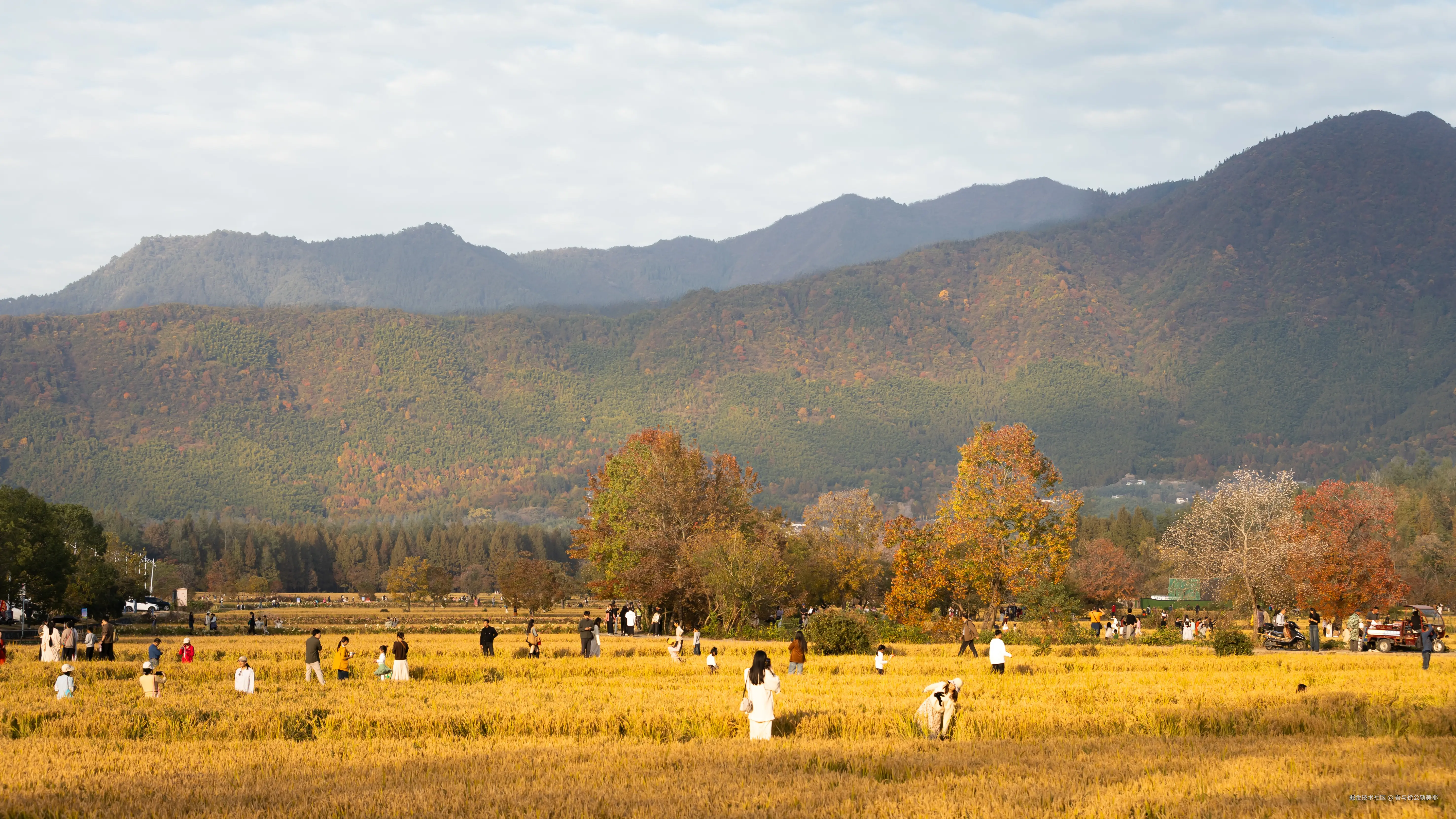 吾与徐公孰美耶于2025-11-18 05:46发布的图片