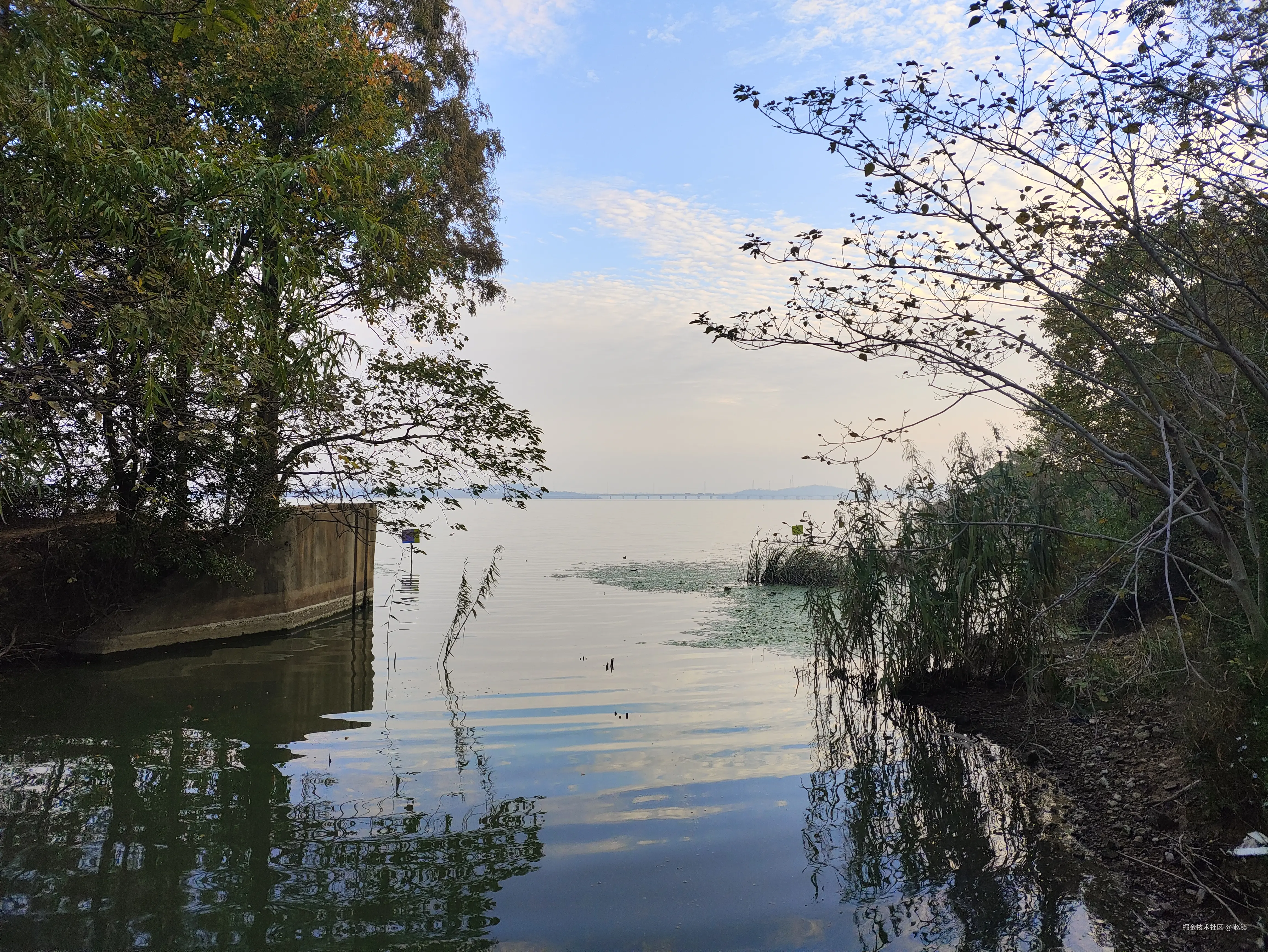 赵镇于2024-11-08 14:53发布的图片